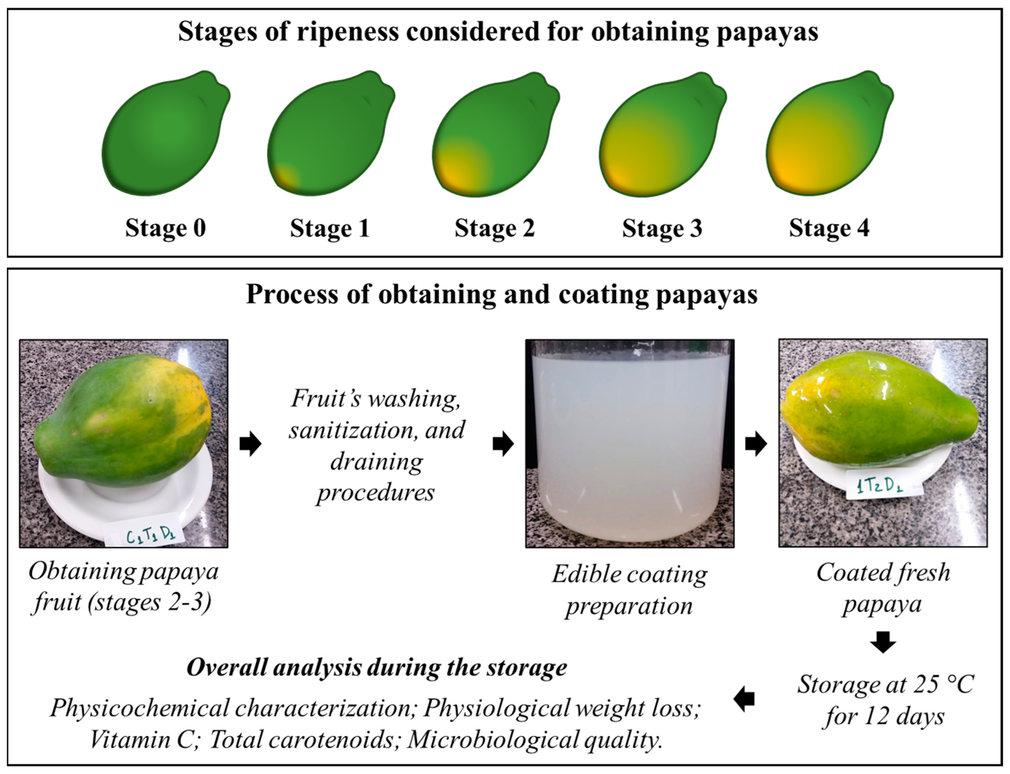 Membranes 13 00772 g001 Membranes 13 00772 g001