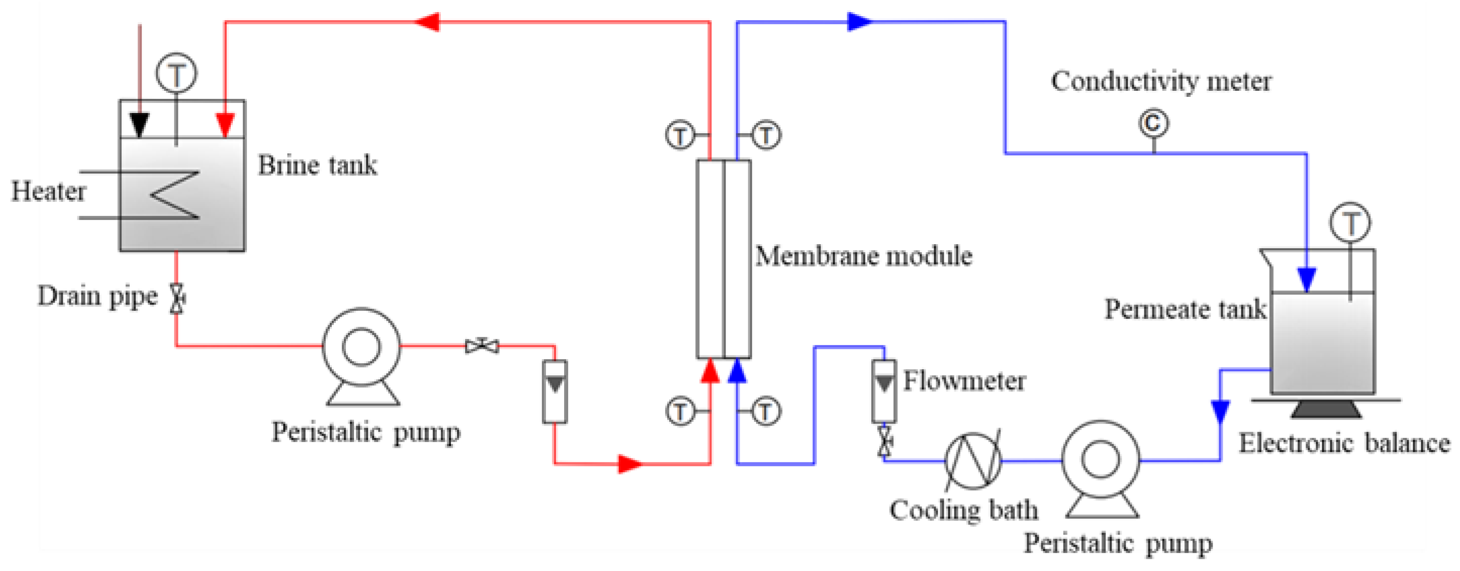 Membranes 13 00773 g002