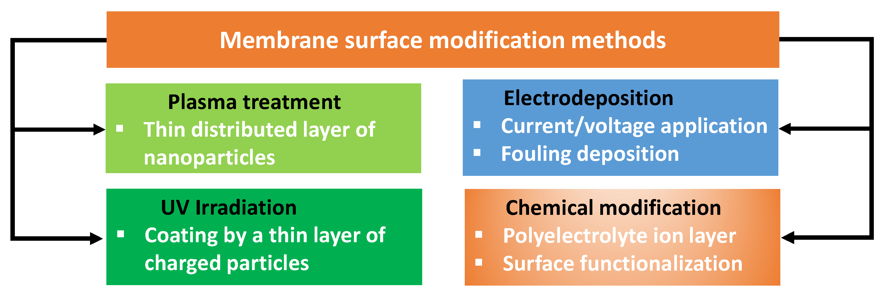 Membranes 13 00777 g003