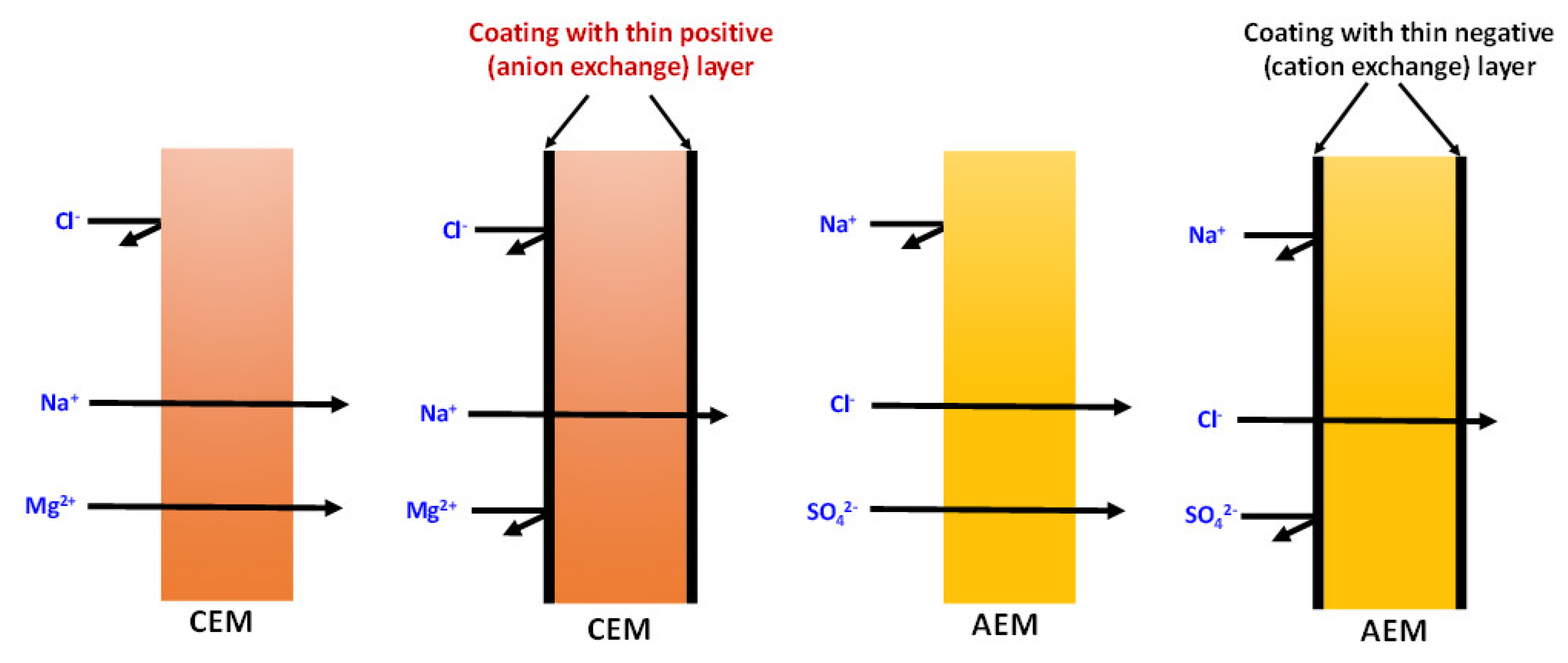 Membranes 13 00777 g005