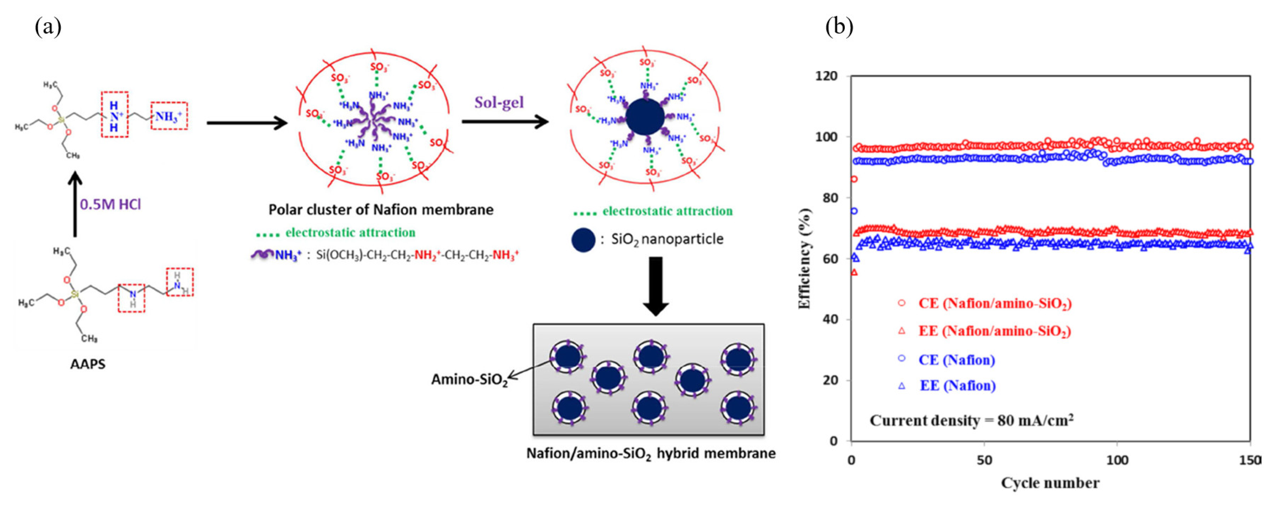 Membranes 13 00777 g008