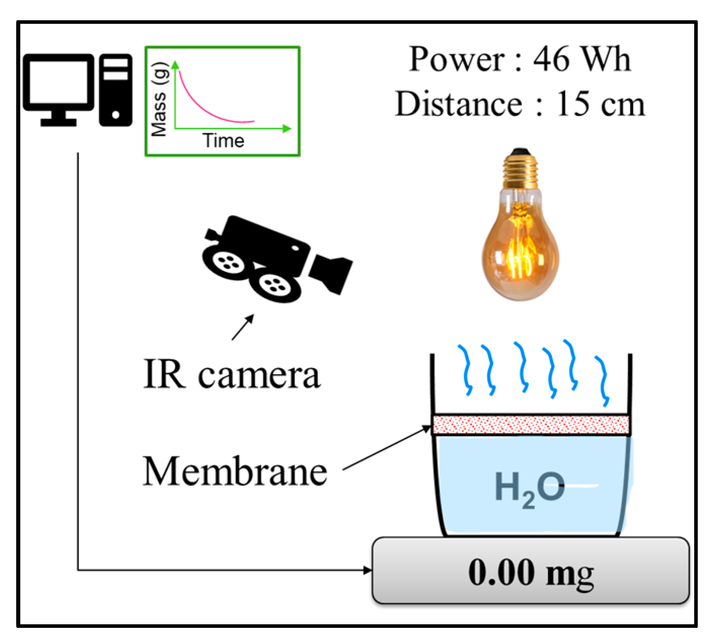 Membranes 13 00780 g001