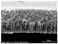 Membranes 13 00780 i002