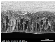 Membranes 13 00780 i003