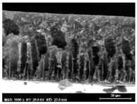 Membranes 13 00780 i004