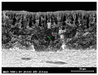 Membranes 13 00780 i007