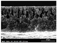 Membranes 13 00780 i009