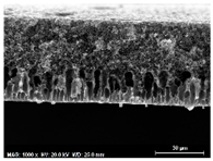 Membranes 13 00780 i011