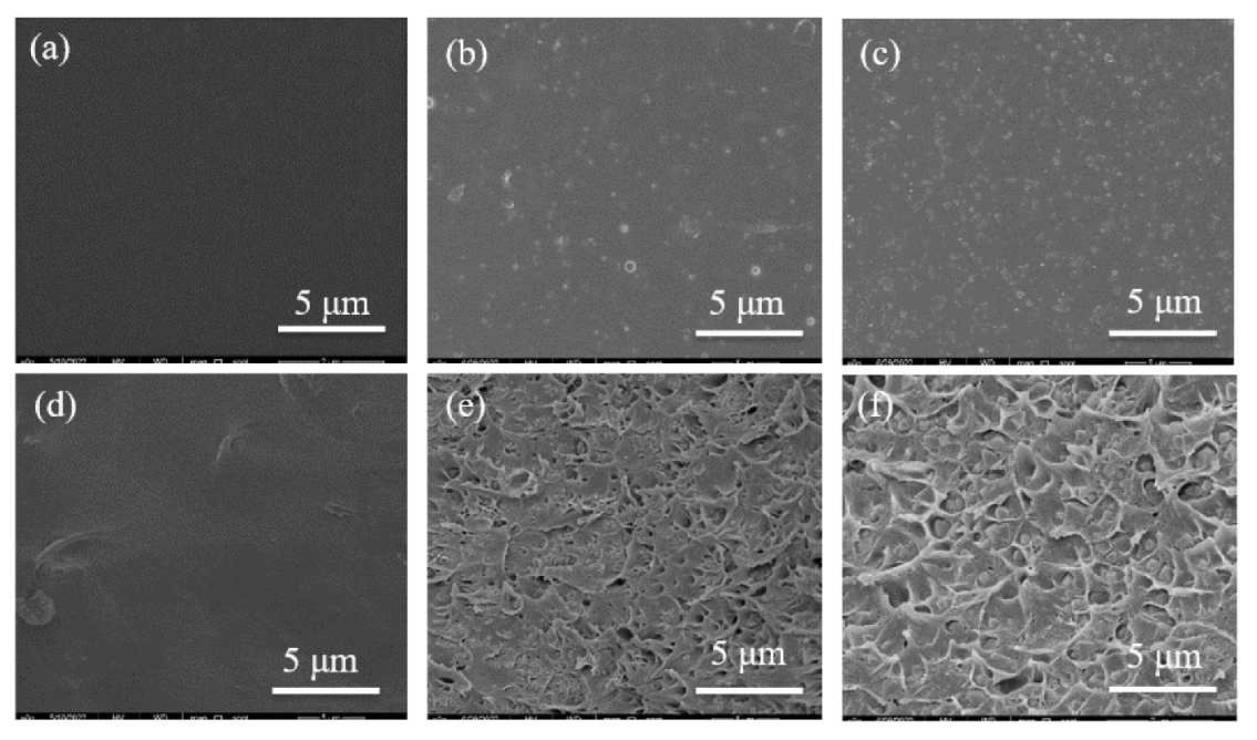 Membranes 13 00781 g006