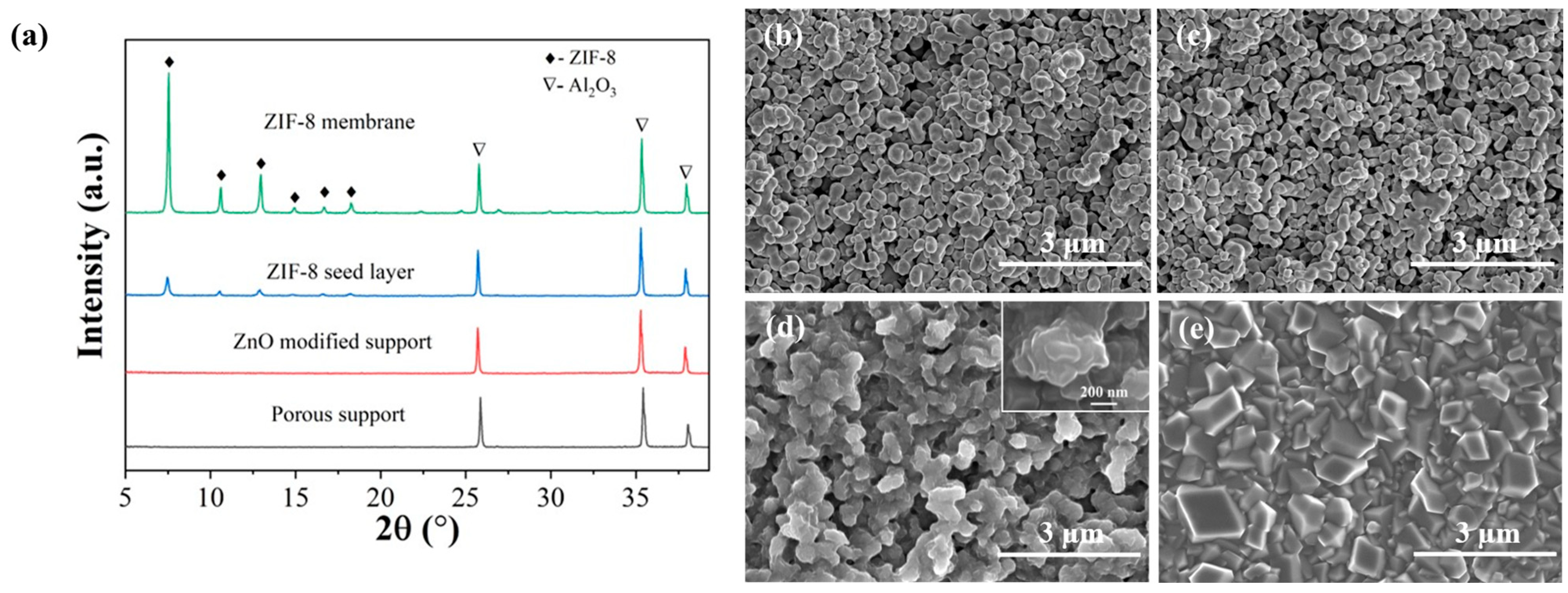 Membranes 13 00782 g002