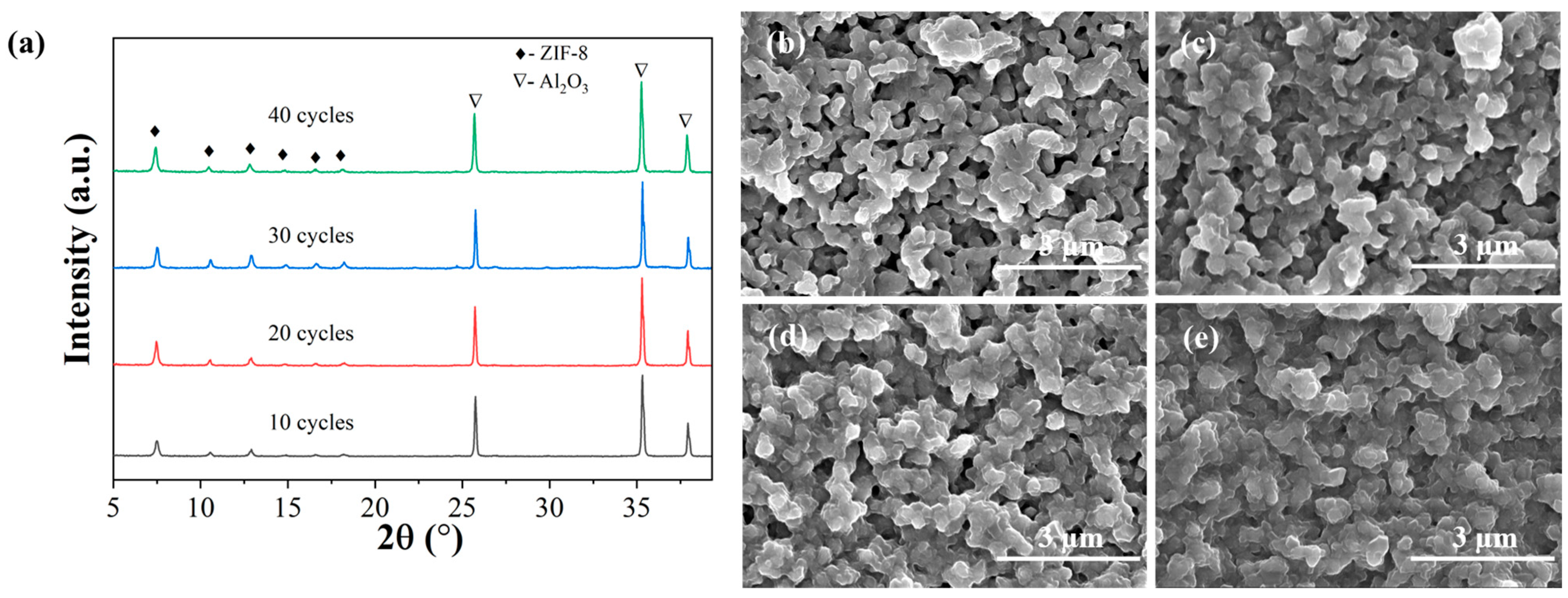Membranes 13 00782 g004