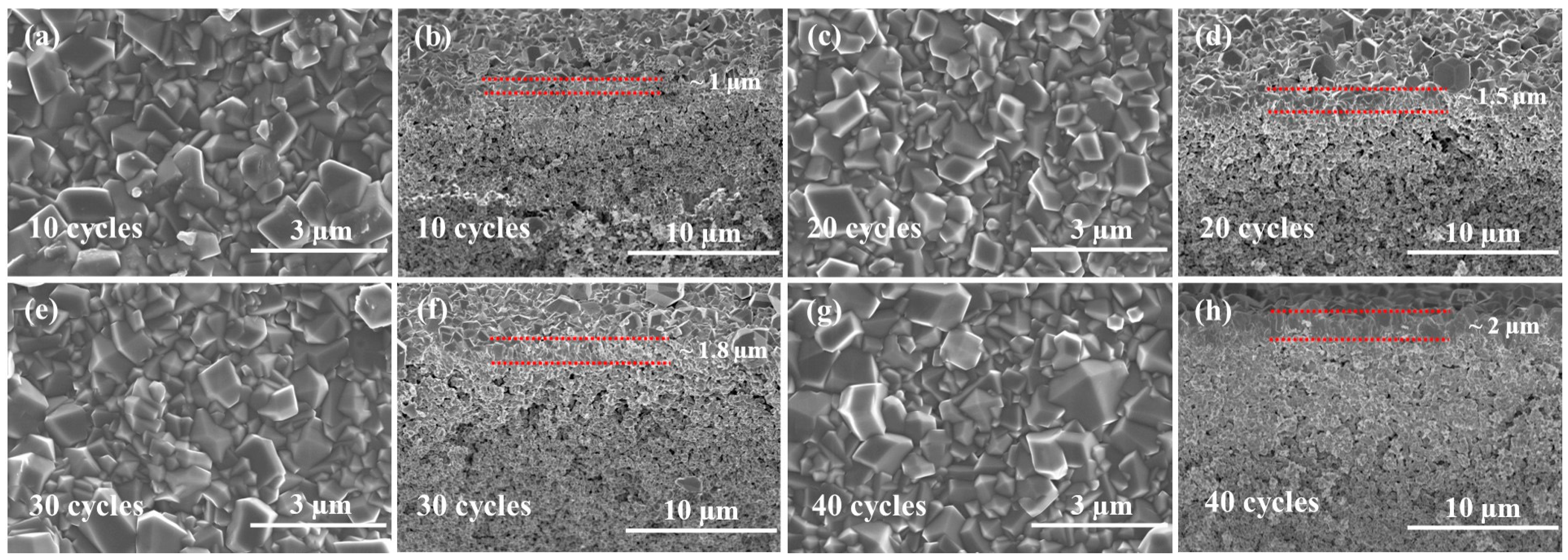 Membranes 13 00782 g006