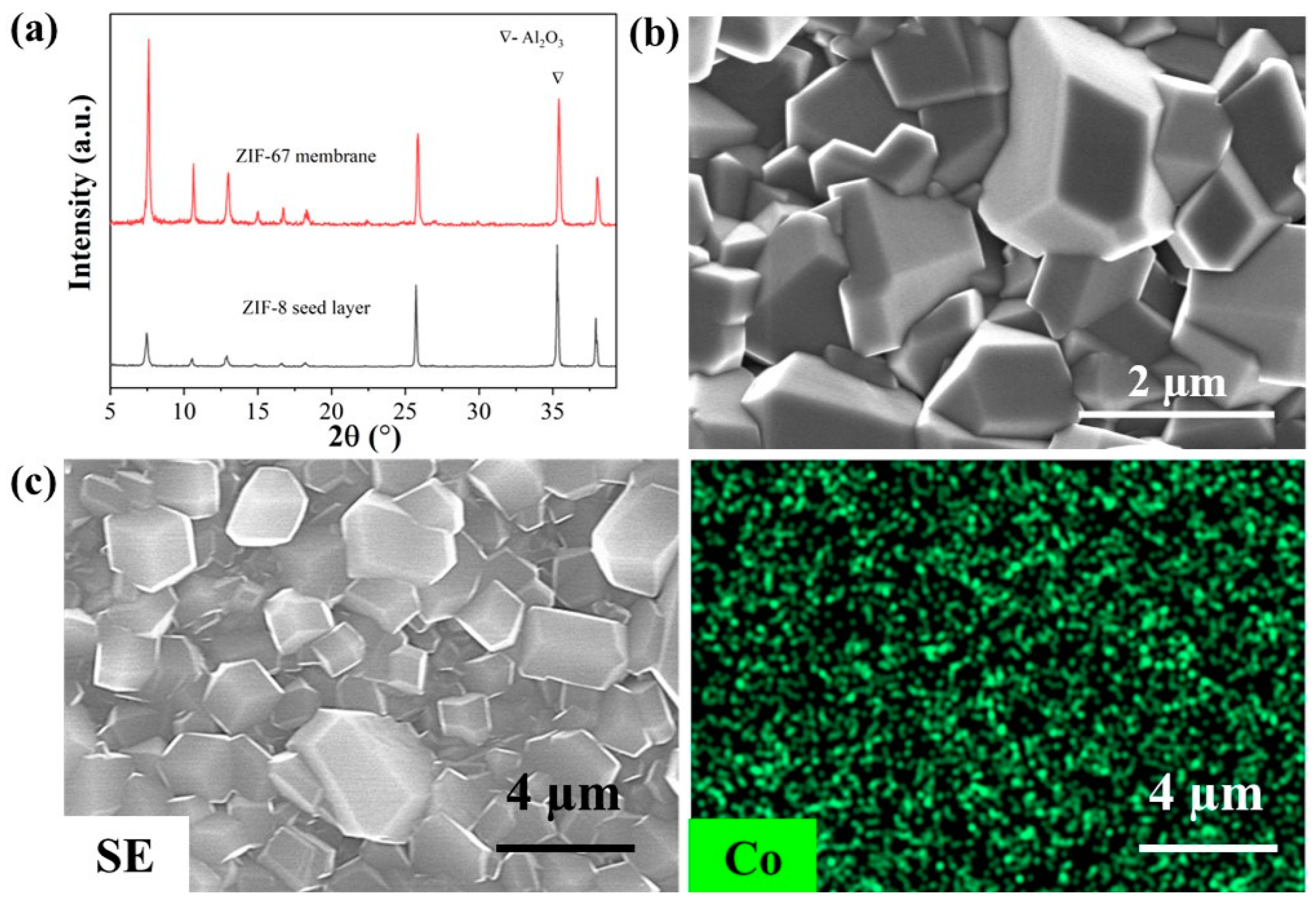 Membranes 13 00782 g009