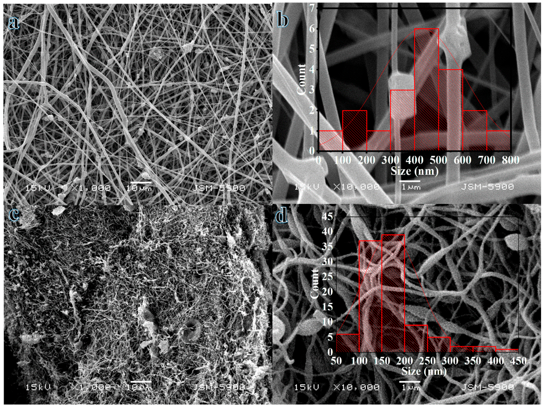 Membranes 13 00783 g001