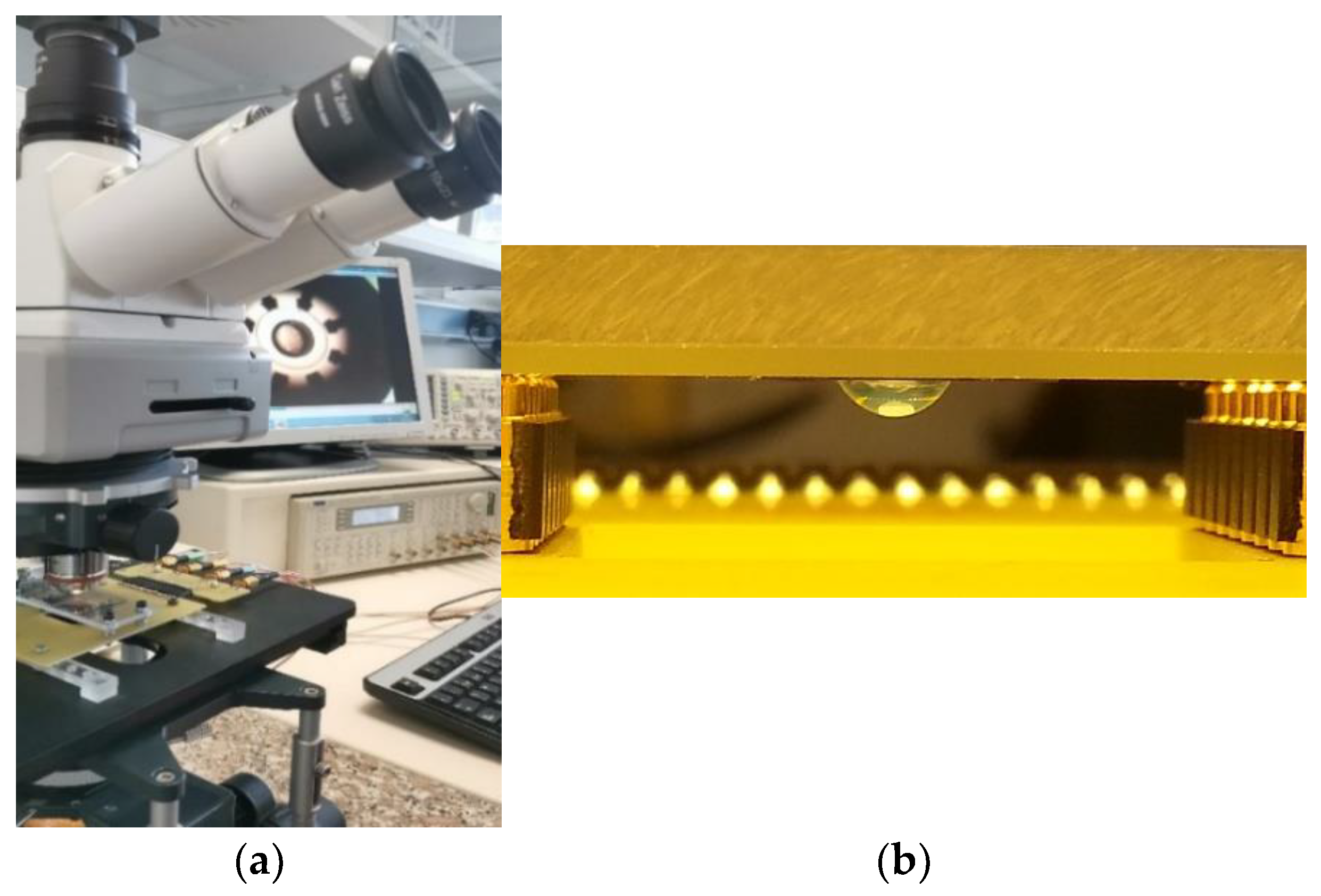 Membranes 13 00785 g001