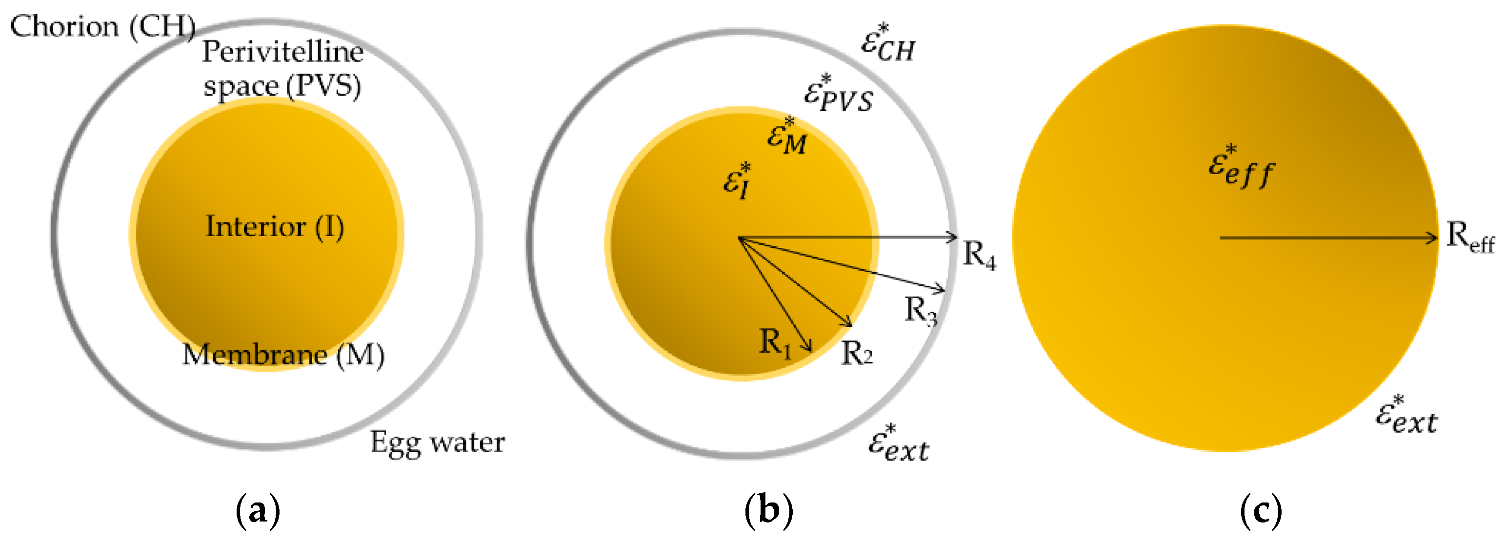 Membranes 13 00785 g002