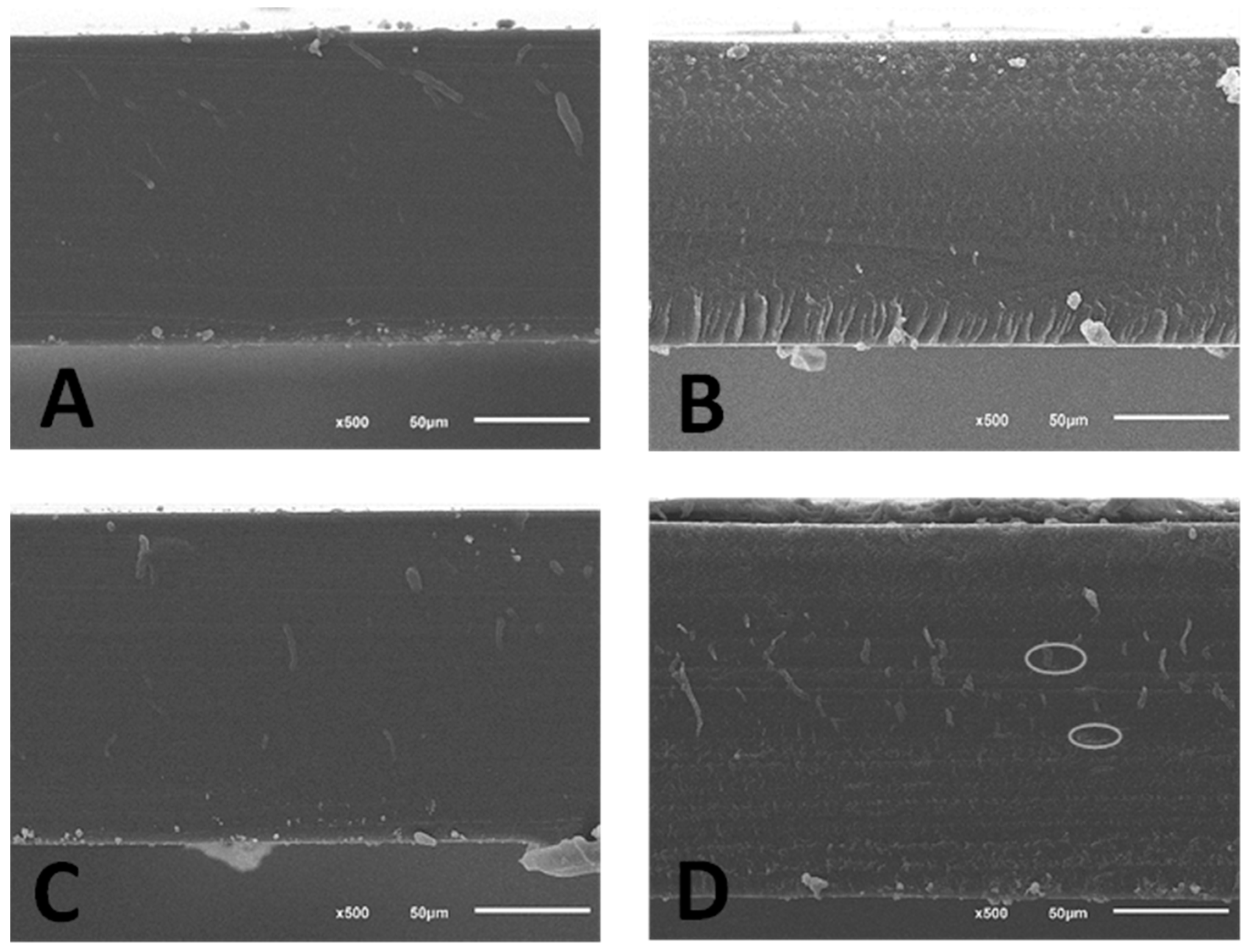 Membranes 13 00786 g002