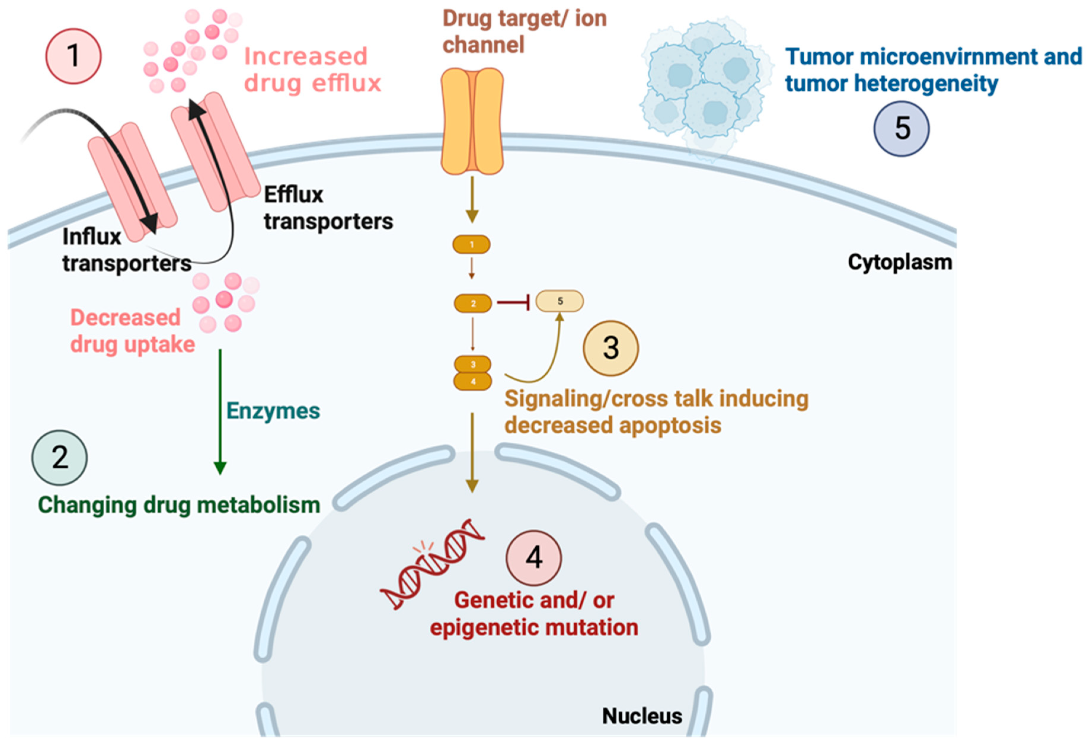 Membranes 13 00788 g001