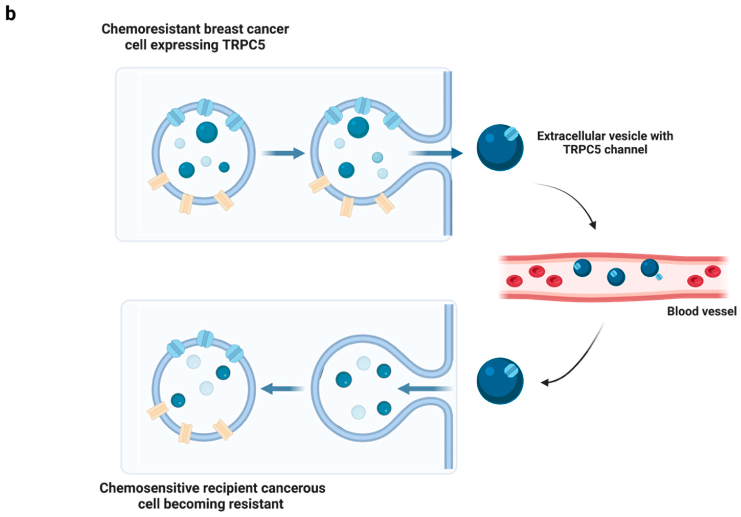 Membranes 13 00788 g002b