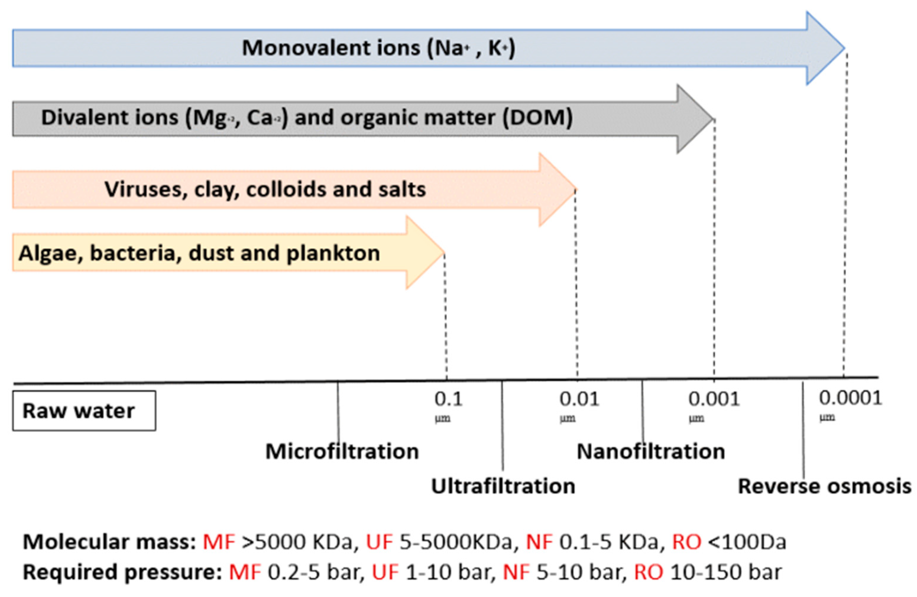 Membranes 13 00789 g003