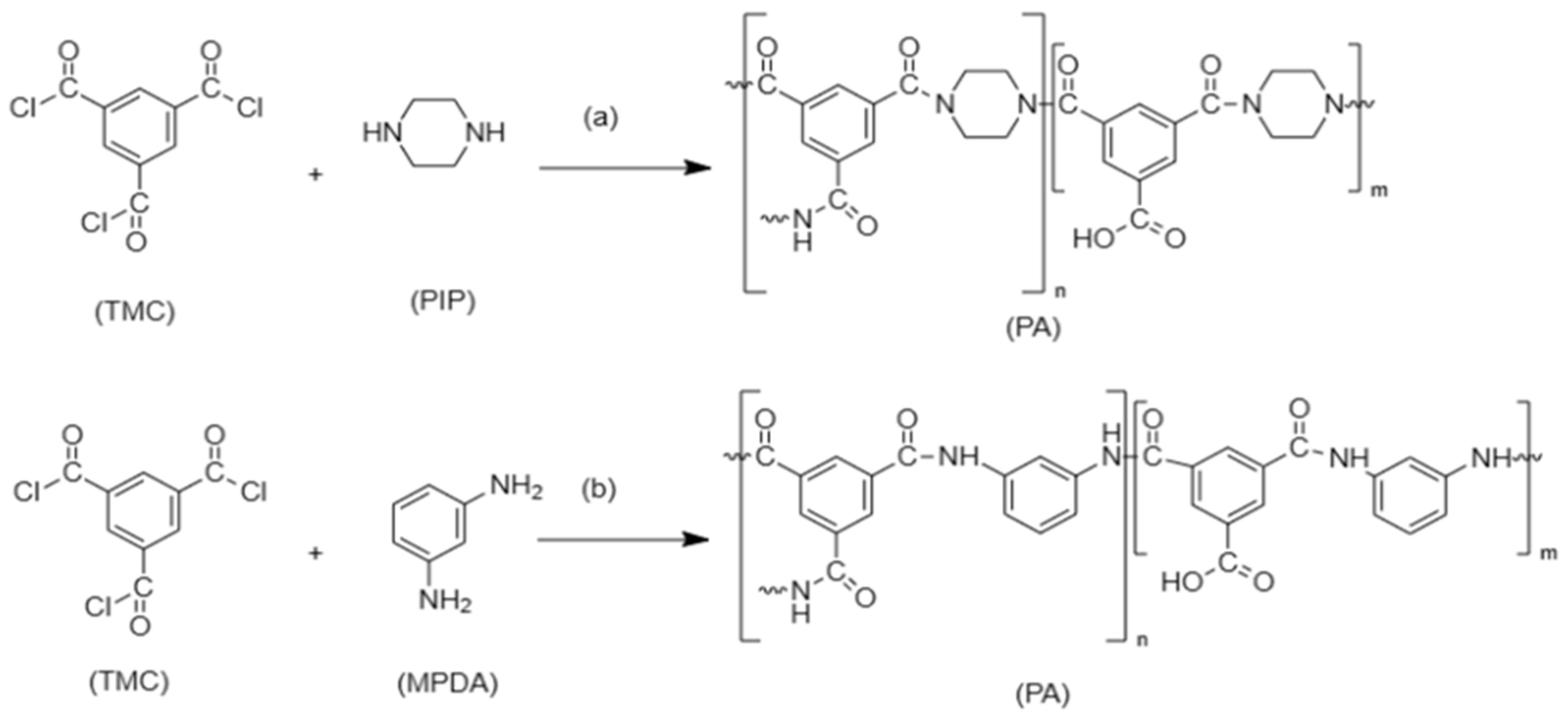Membranes 13 00789 g004
