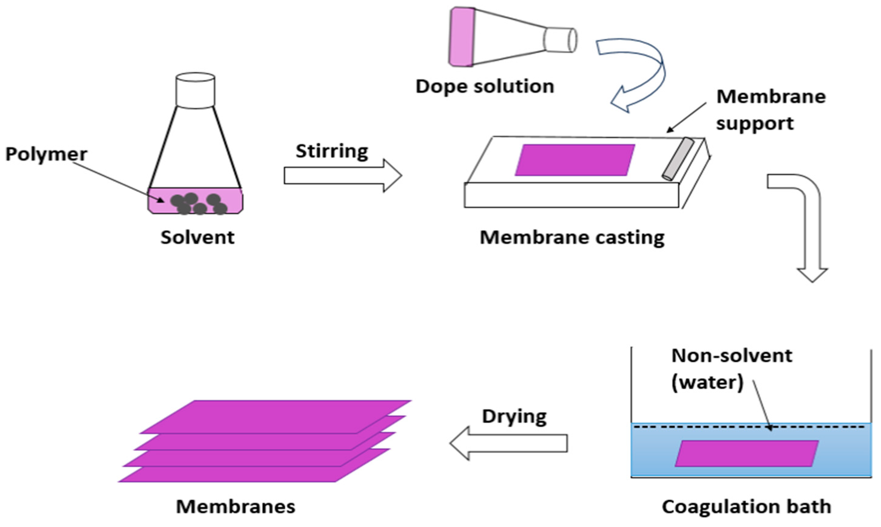 Membranes 13 00789 g005