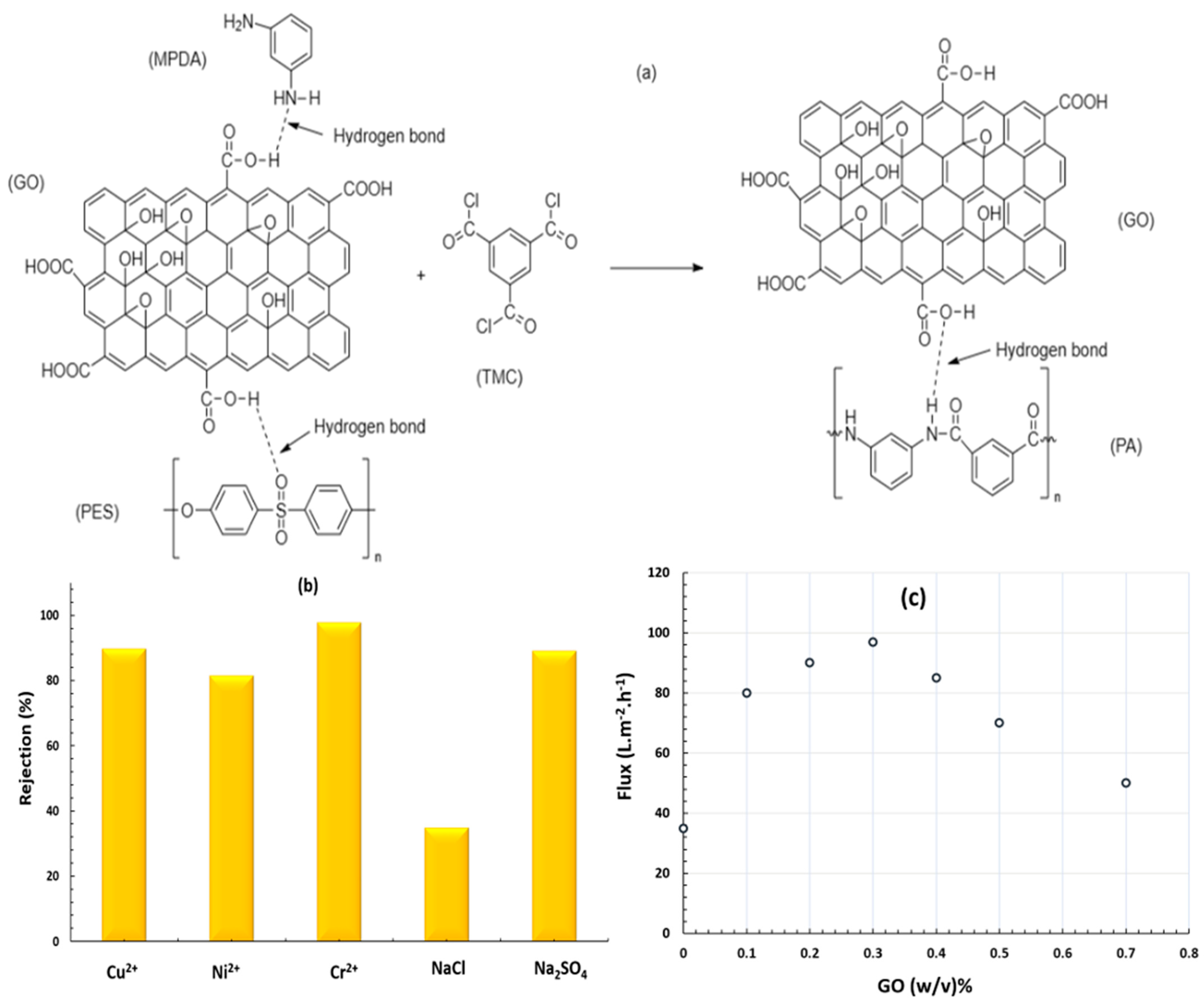 Membranes 13 00789 g007