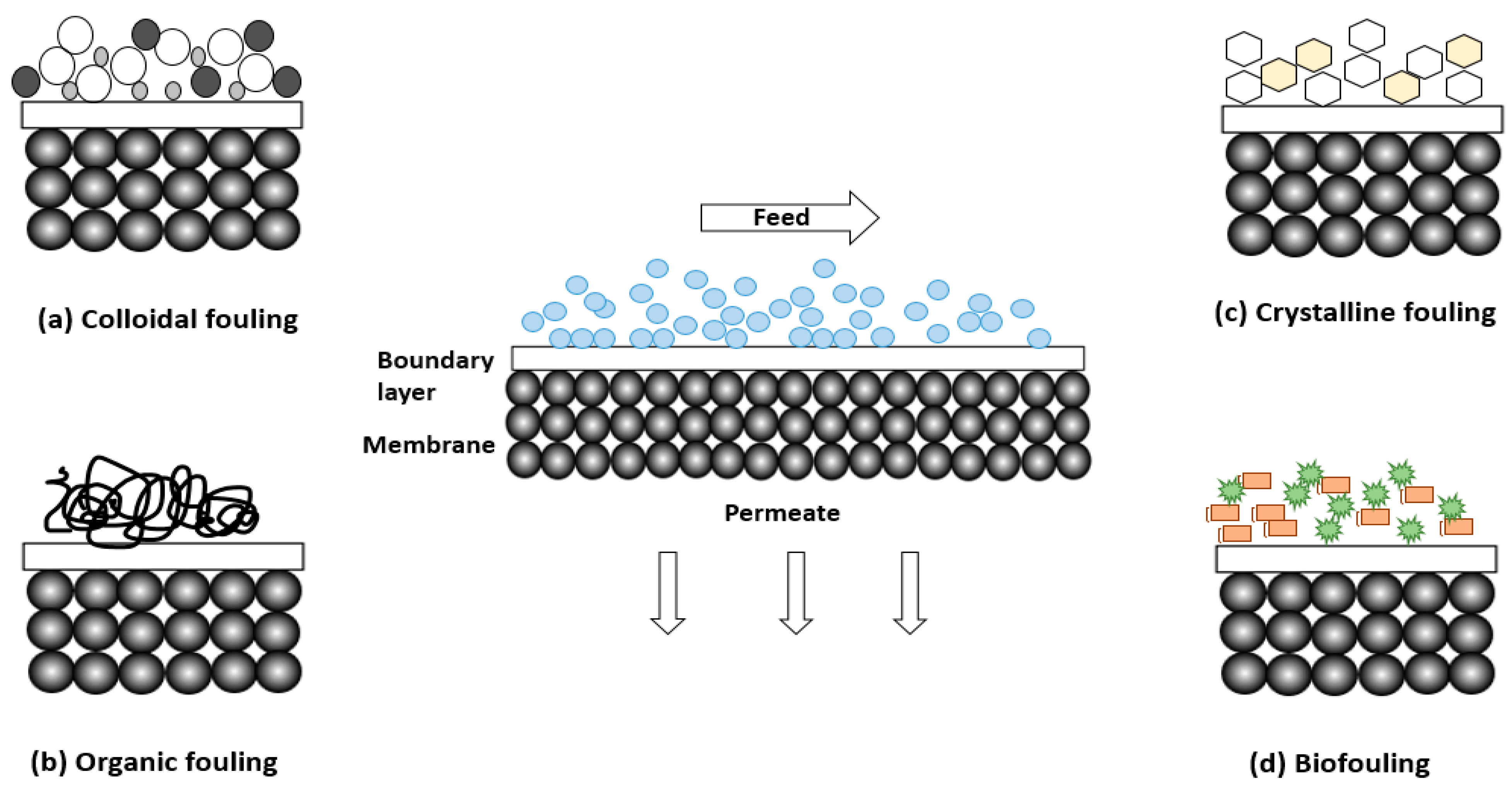 Membranes 13 00789 g009