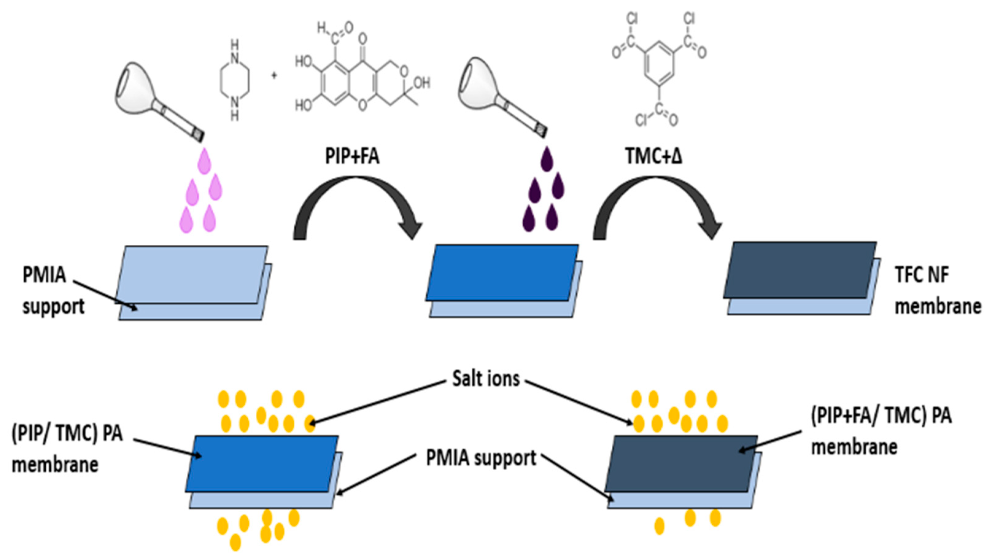 Membranes 13 00789 g010