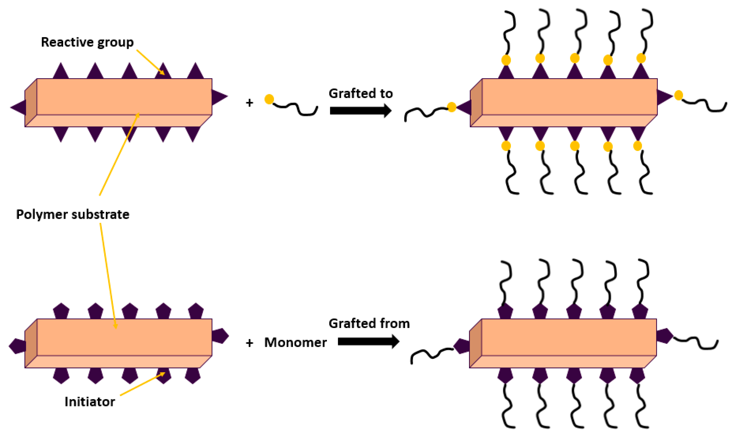 Membranes 13 00789 g011
