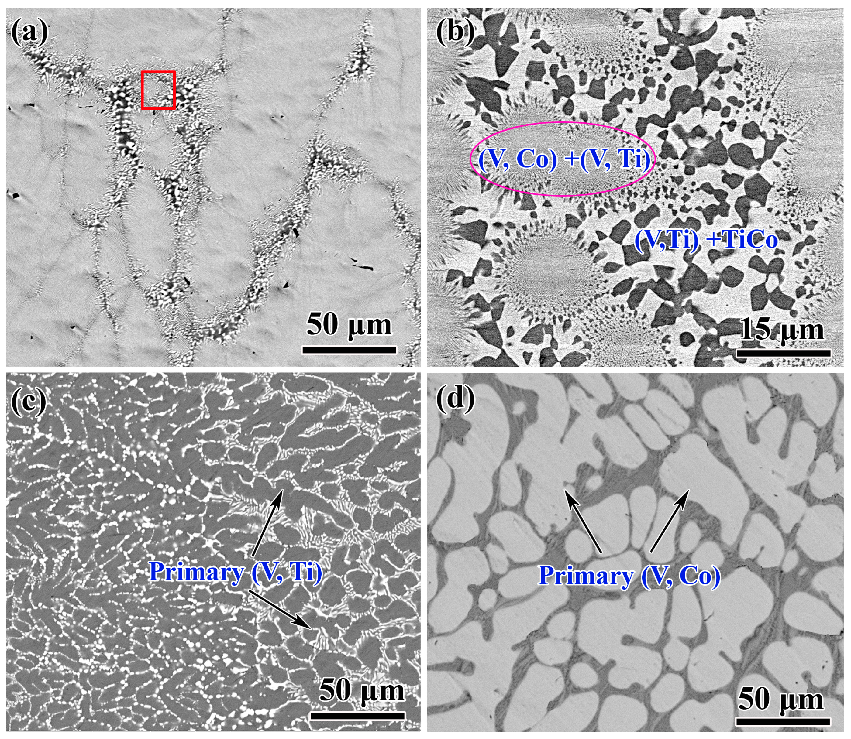 Membranes 13 00790 g004 Membranes 13 00790 g004