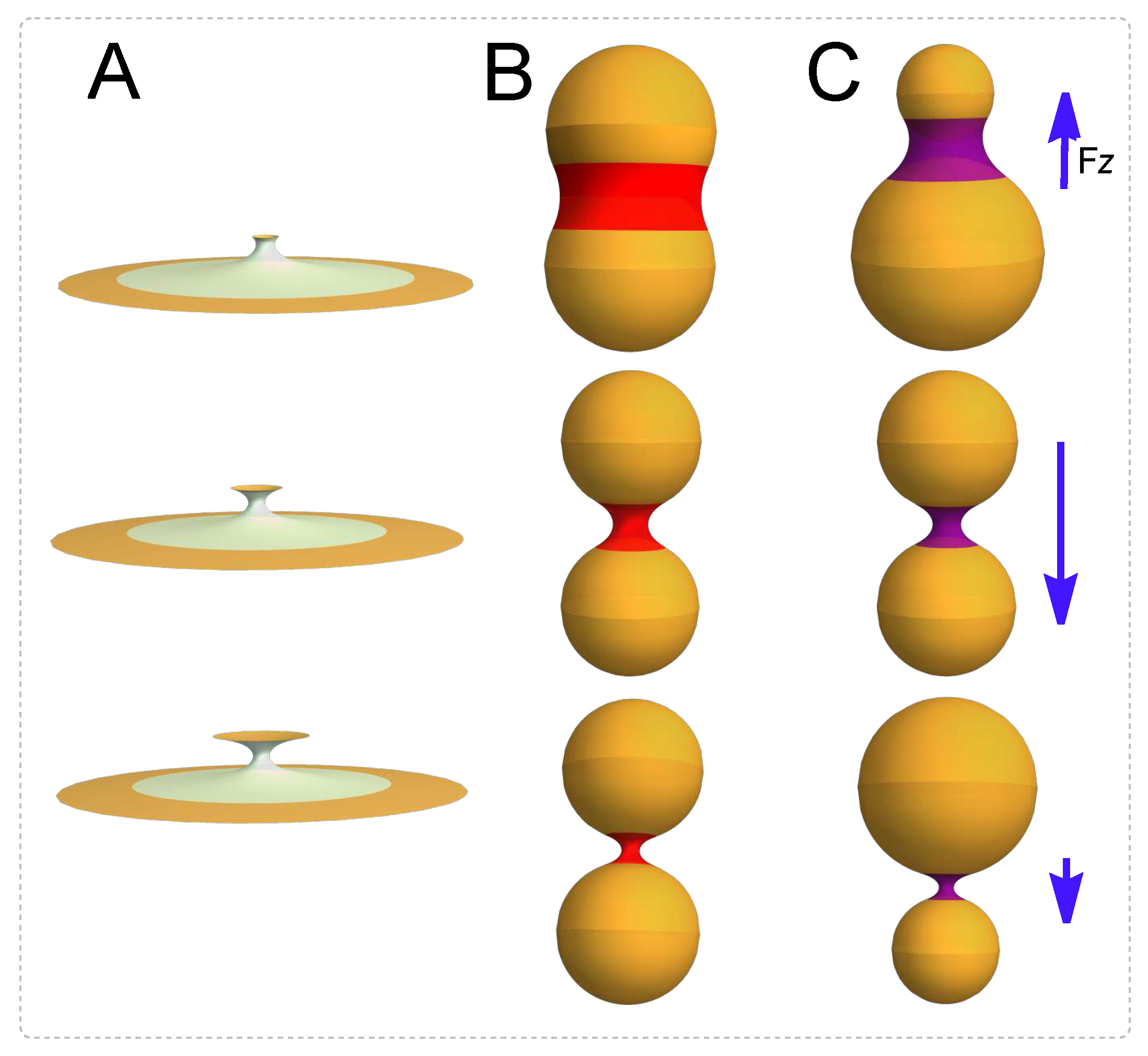 Membranes 13 00796 g001