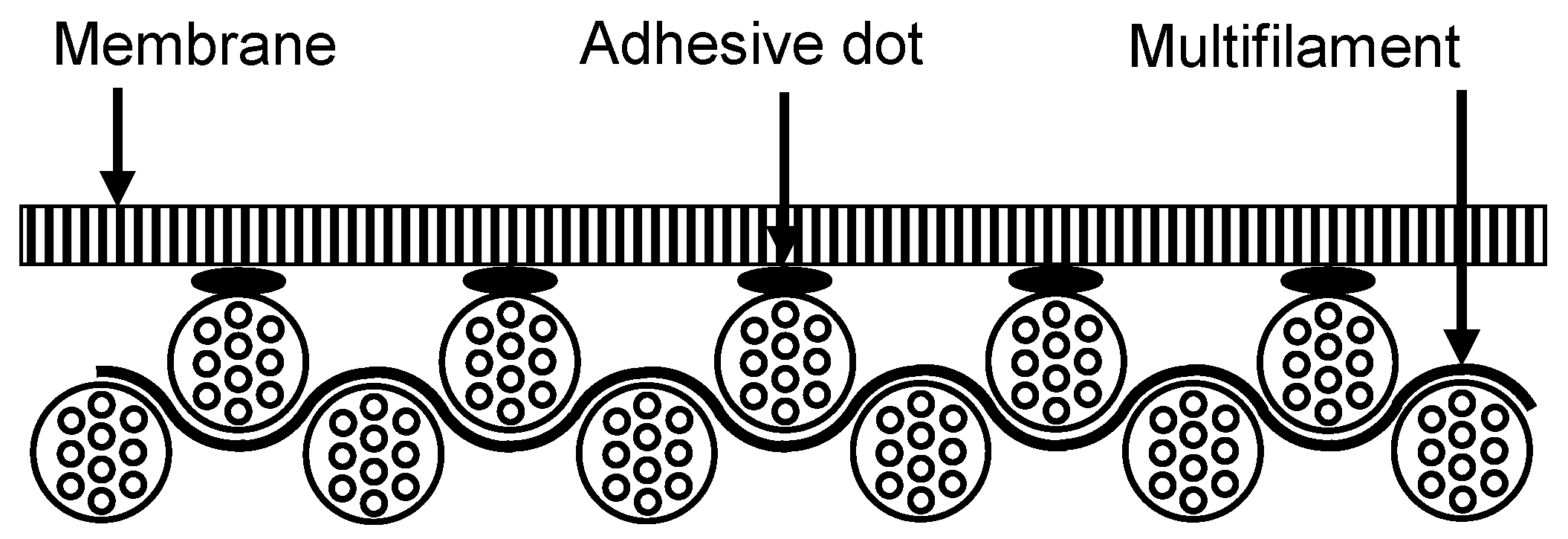 Membranes 13 00801 g004