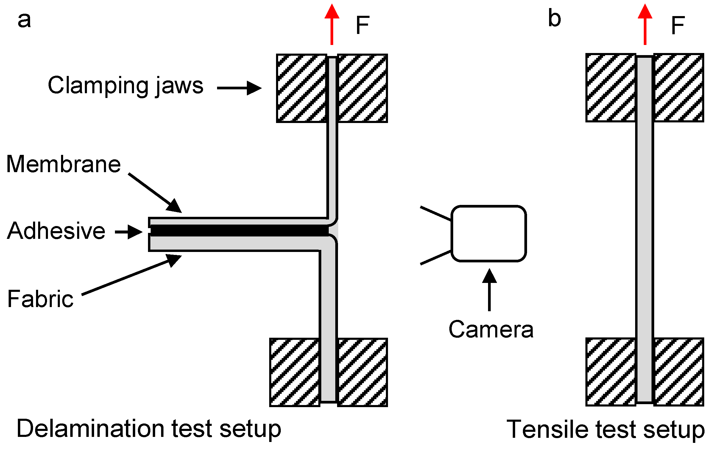 Membranes 13 00801 g006