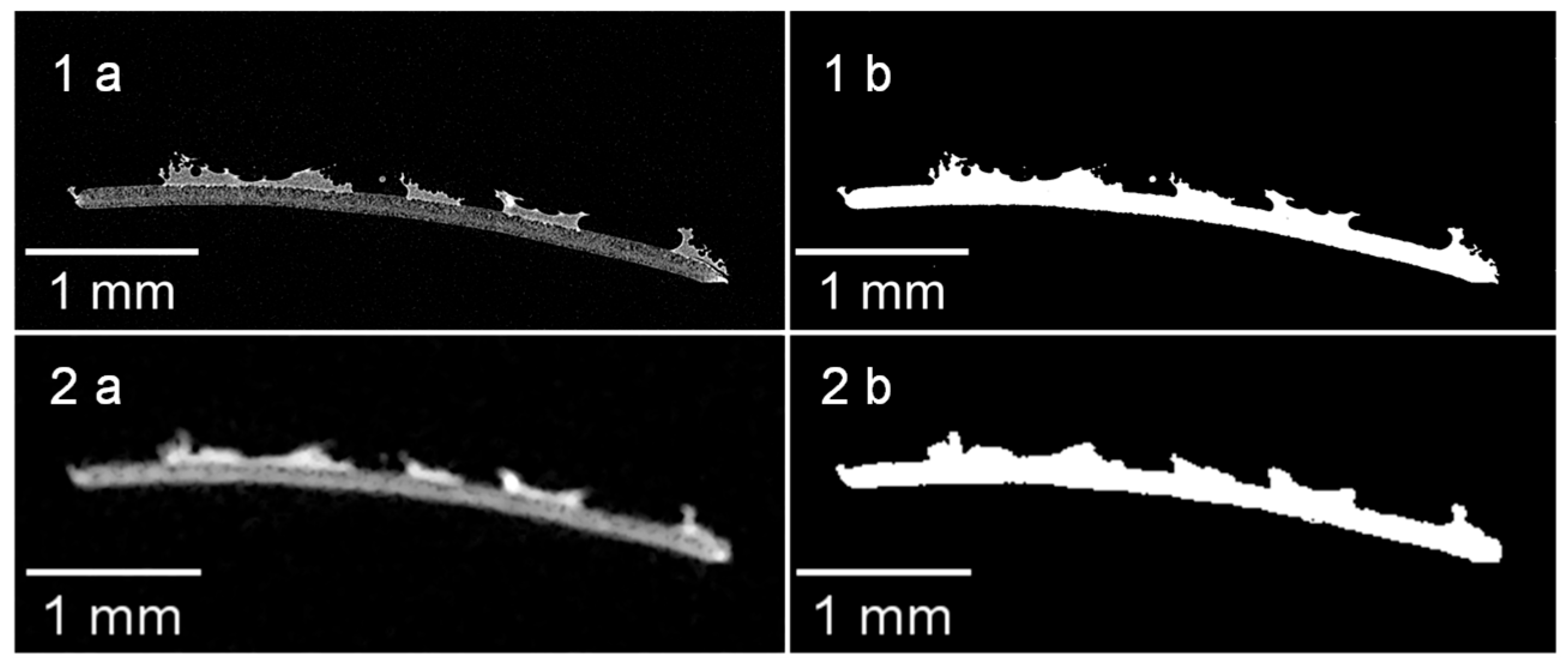 Membranes 13 00801 g008