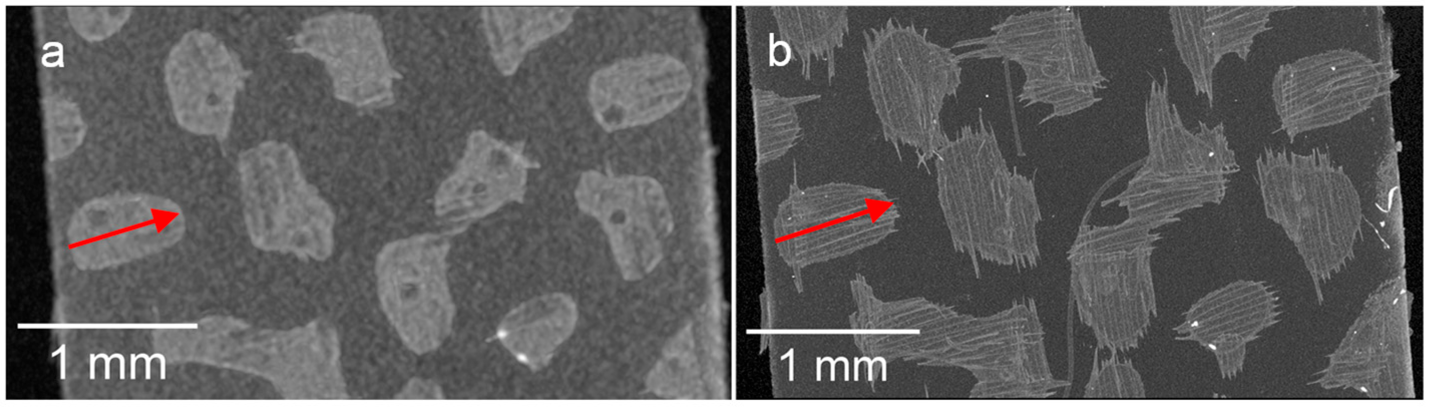 Membranes 13 00801 g010