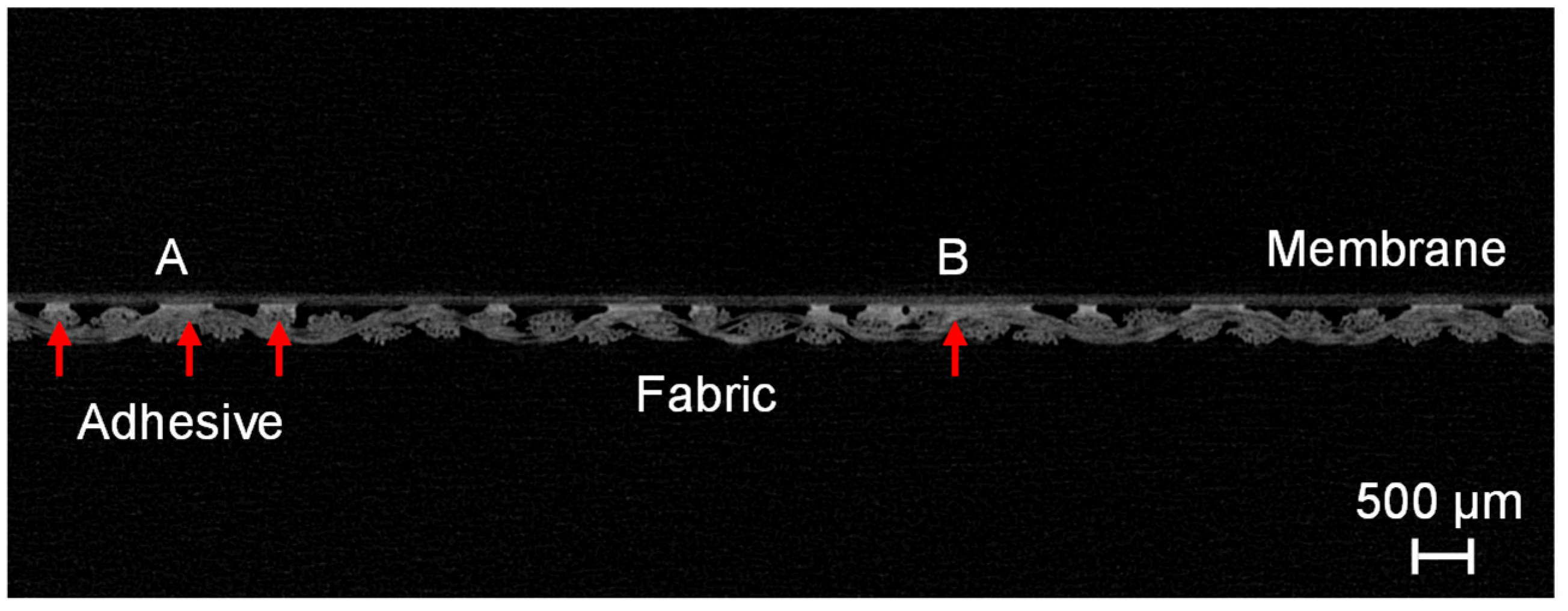 Membranes 13 00801 g012
