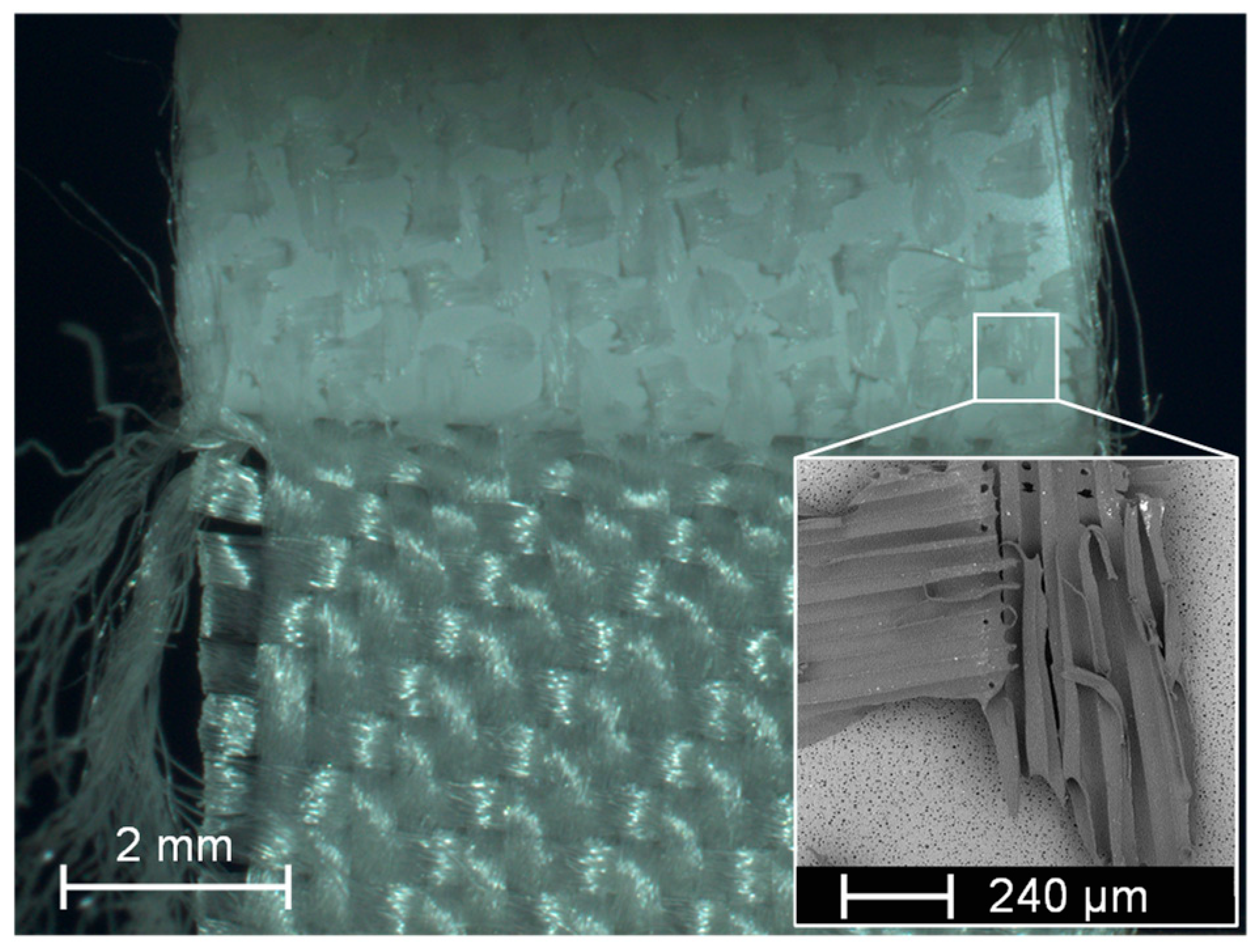 Membranes 13 00801 g018