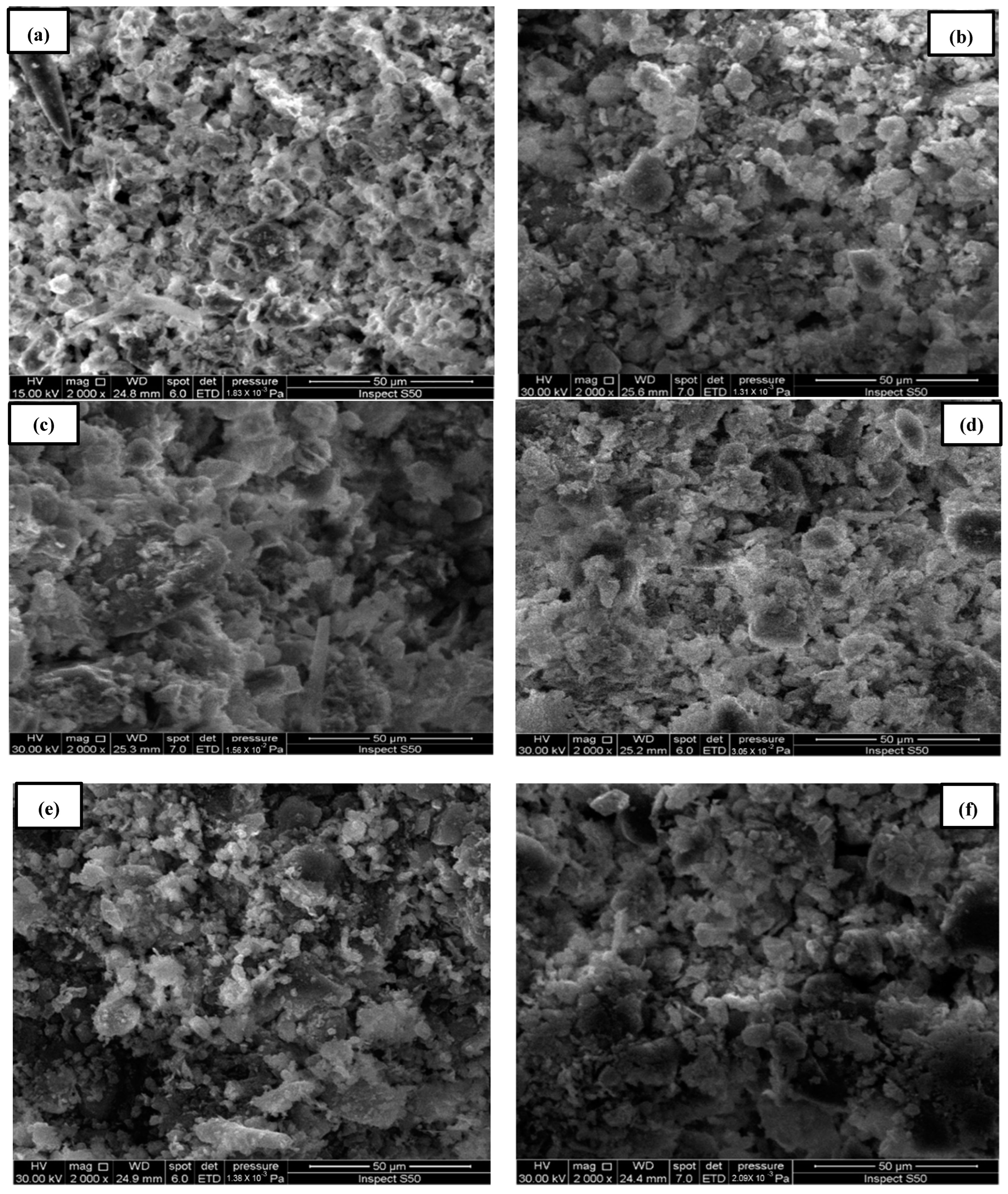 Membranes 13 00806 g009