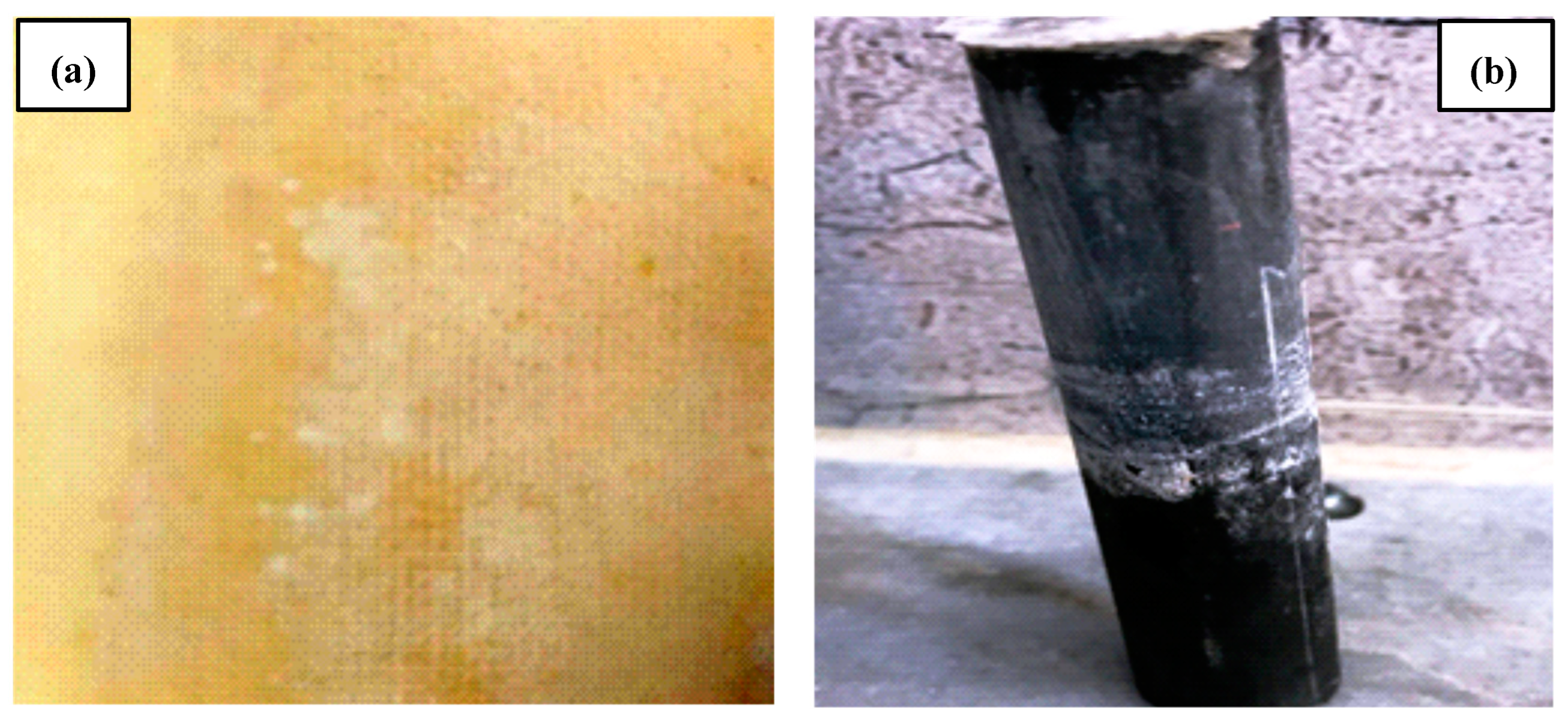 Membranes 13 00806 g012