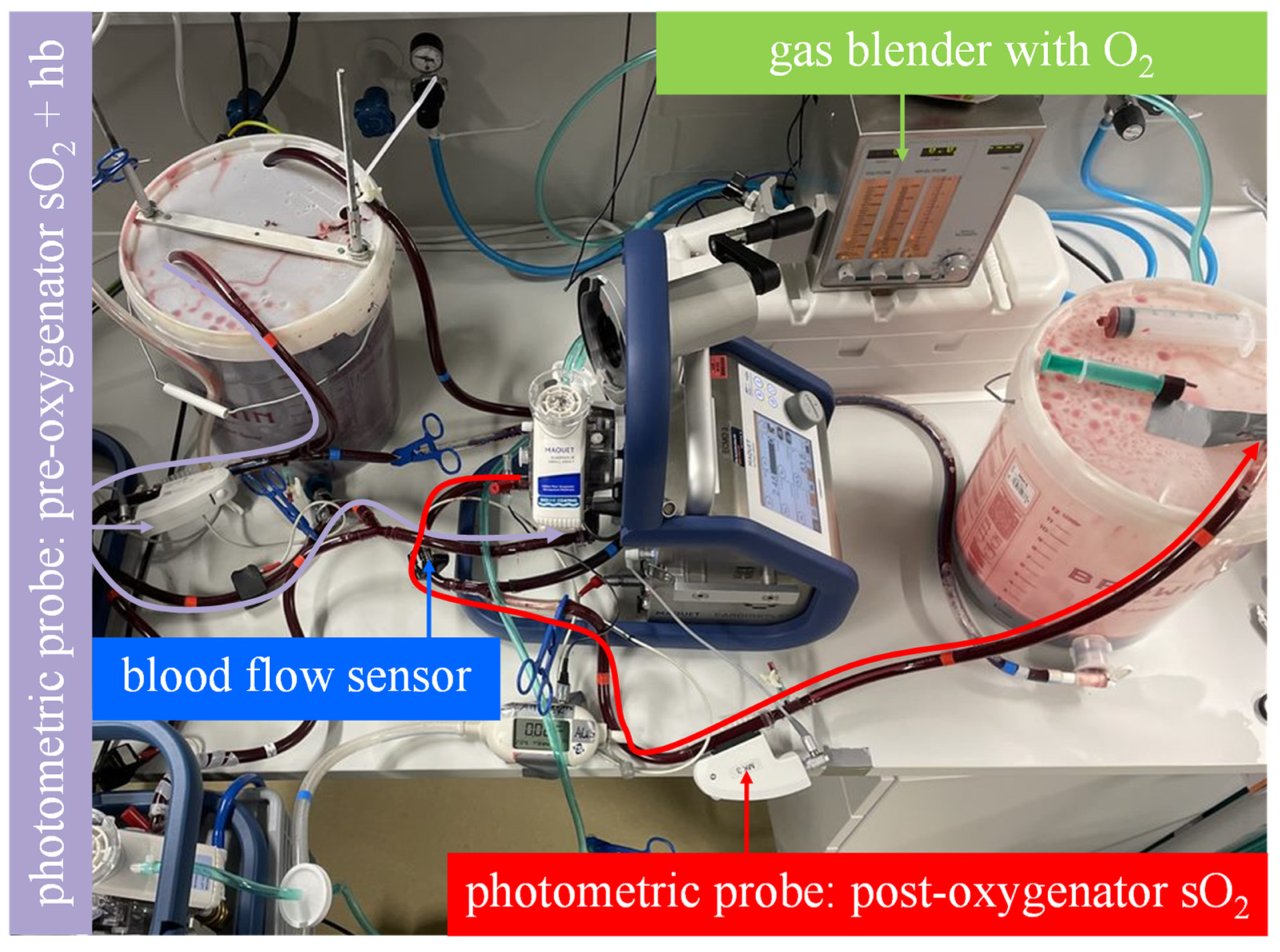 Membranes 13 00809 g004