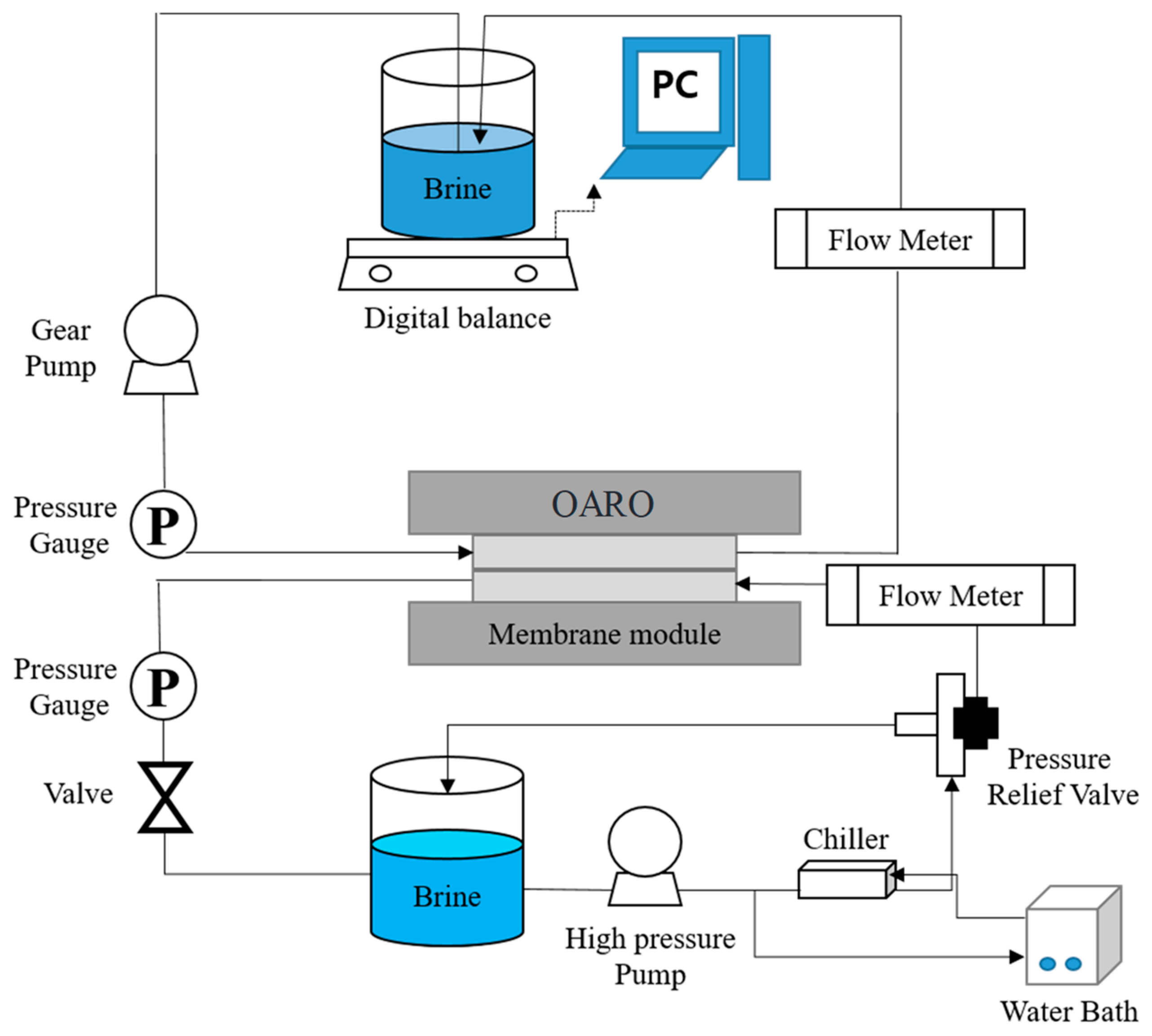 Membranes 13 00814 g003