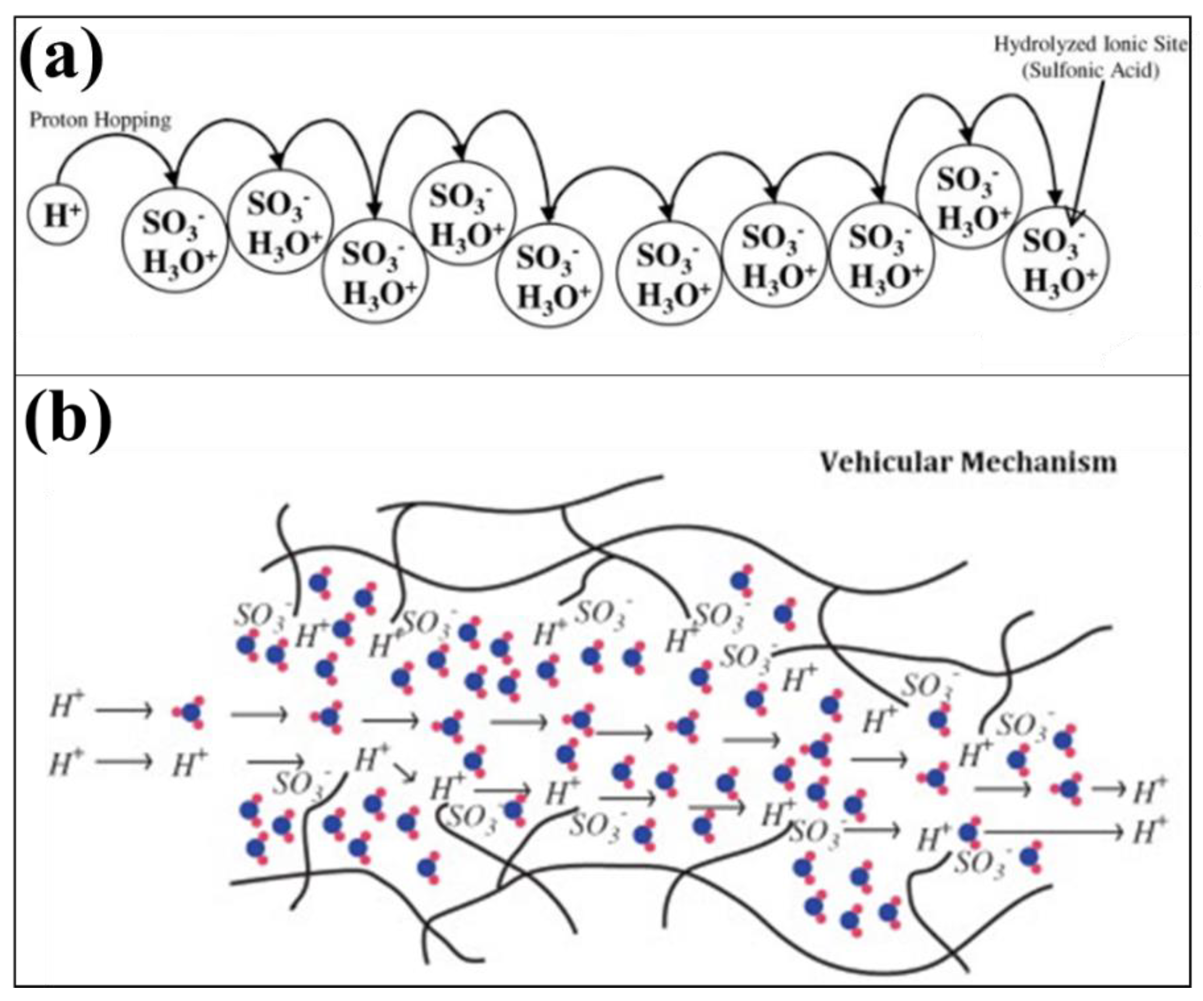 Membranes 13 00817 g003