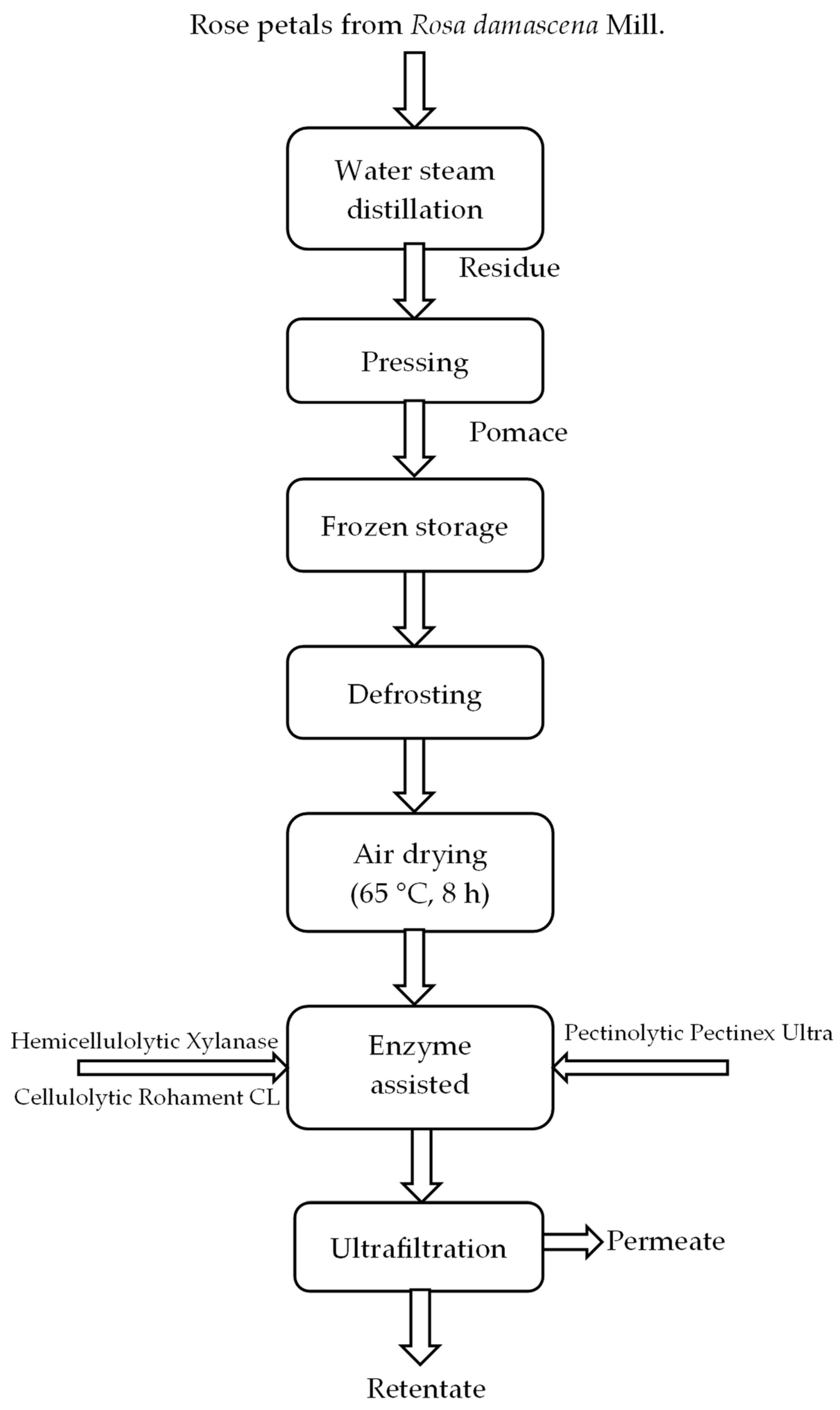 Membranes 13 00818 g002