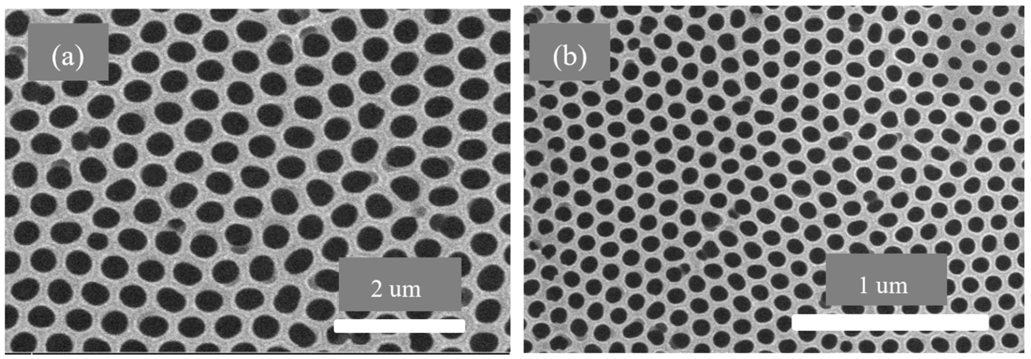 Membranes 13 00825 g011