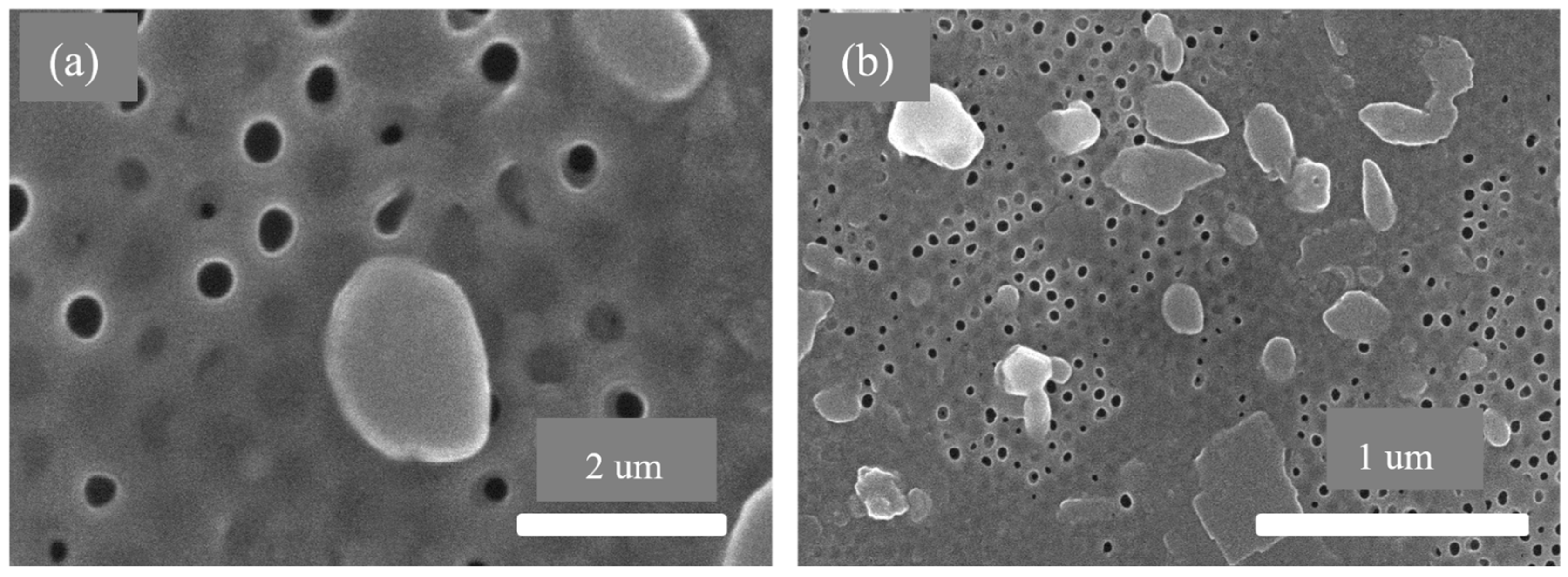 Membranes 13 00825 g013