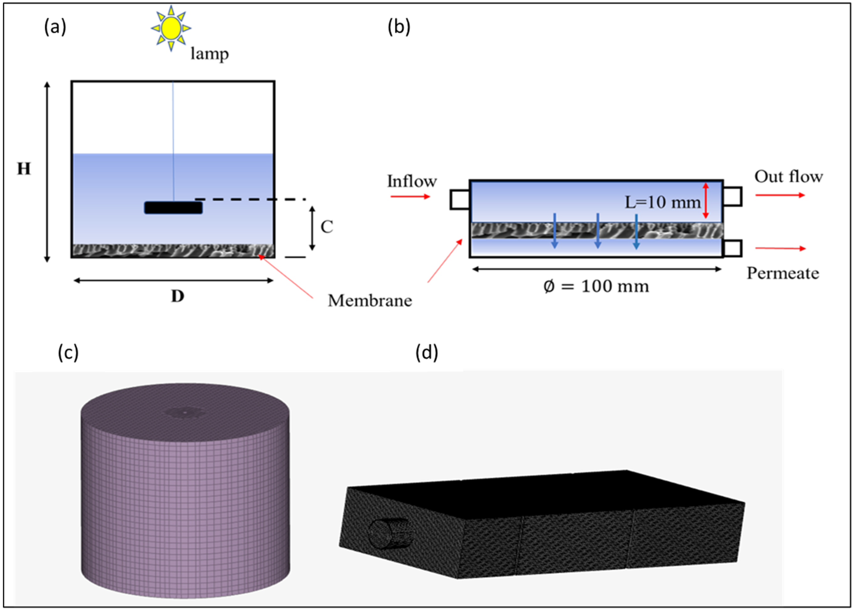 Membranes 13 00827 g002