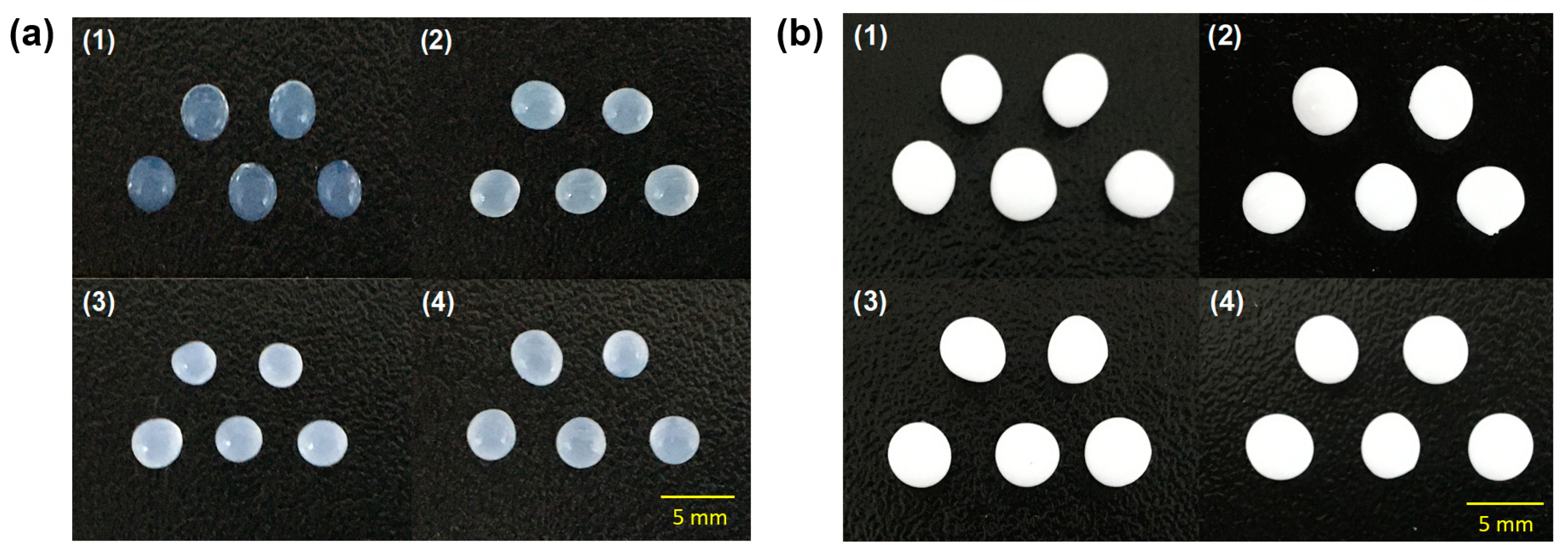 Membranes 13 00836 g001