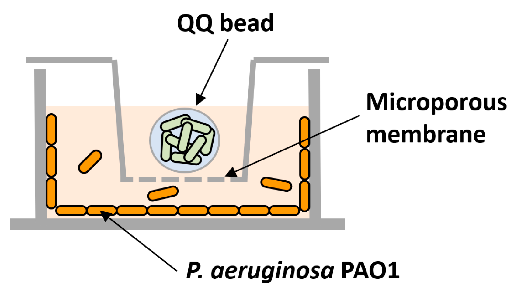Membranes 13 00836 g002