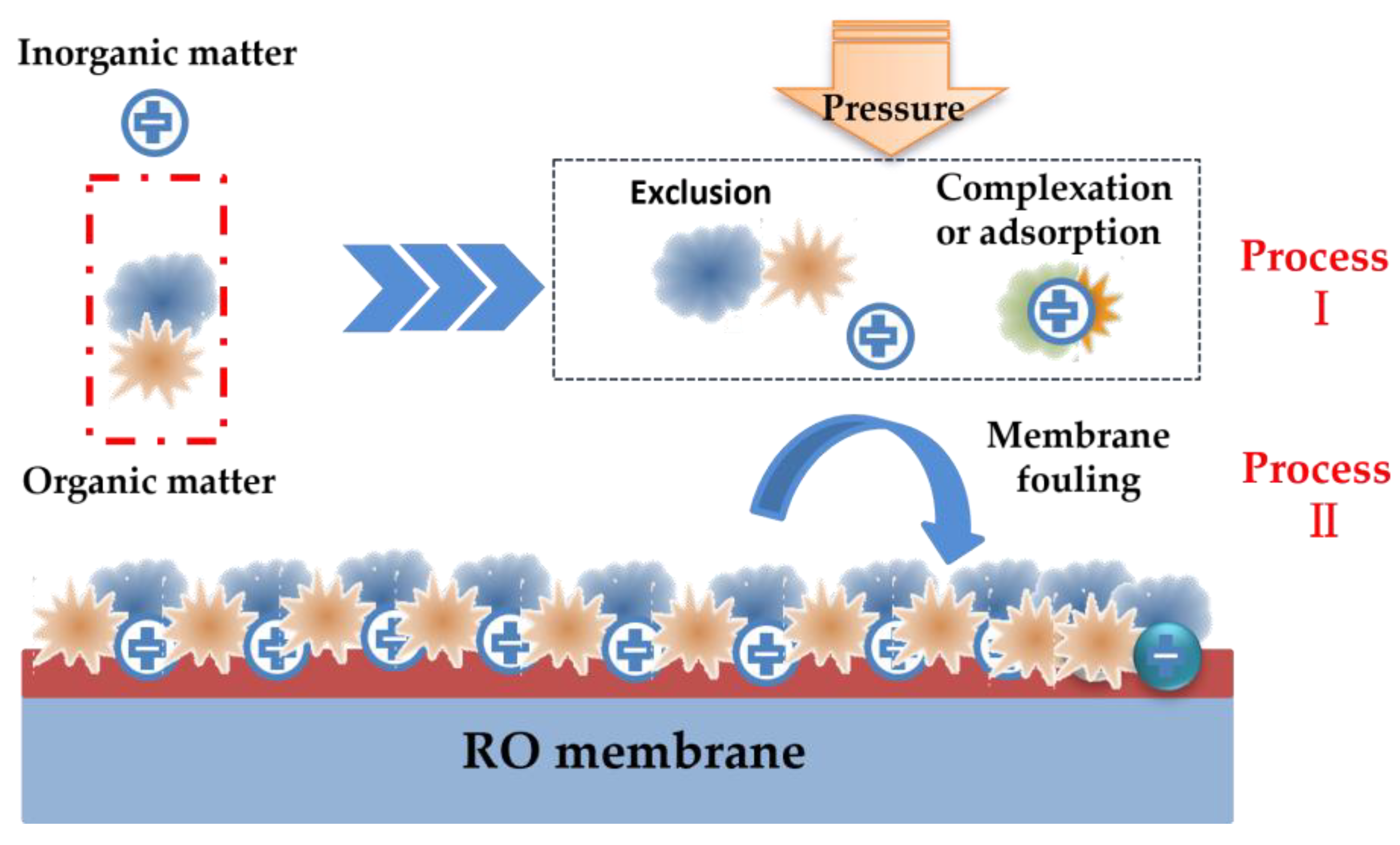 Membranes 13 00837 g002